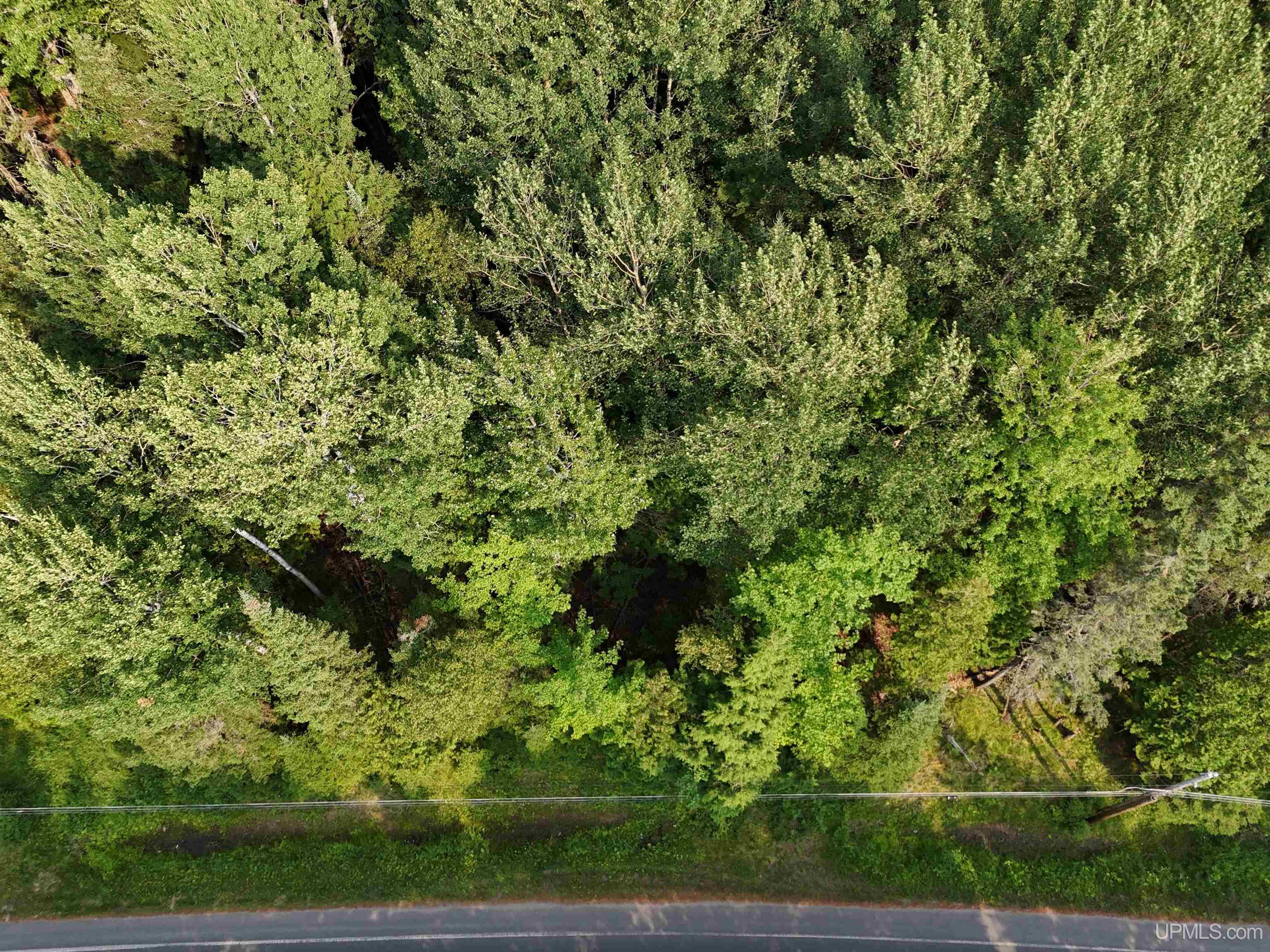 Tbd5 Bayshore Road Property Photo 22