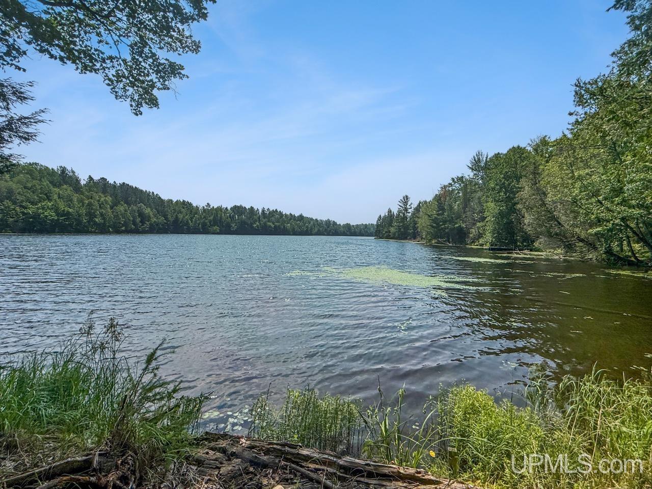 489 Kalla Walla Trail Property Photo 3
