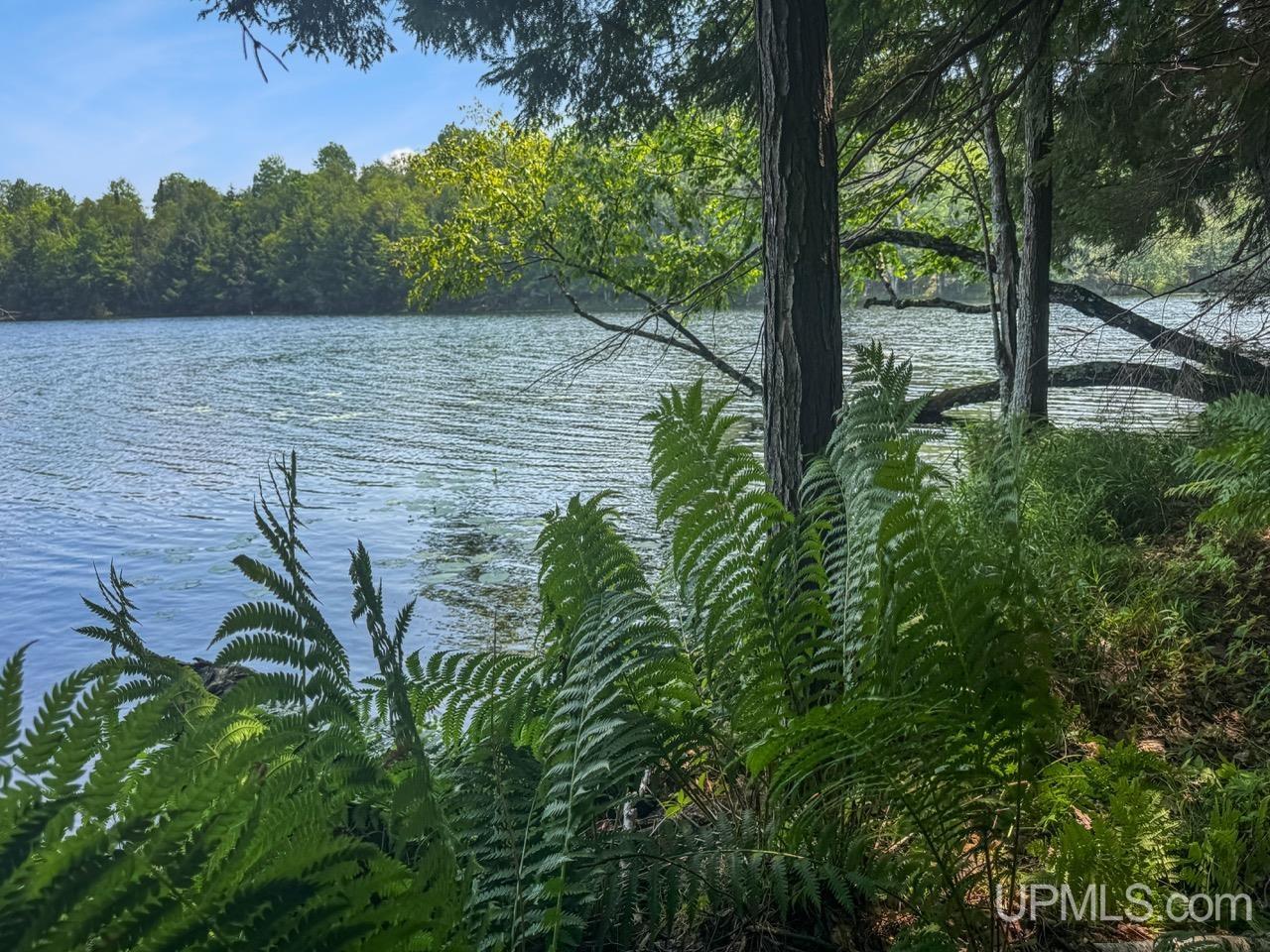 489 Kalla Walla Trail Property Photo 44