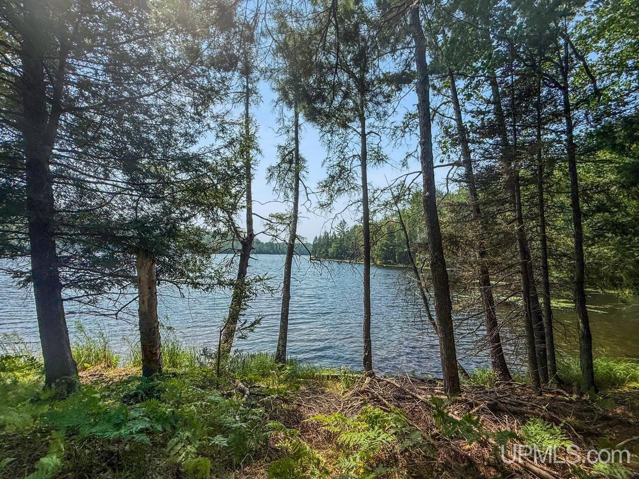 489 Kalla Walla Trail Property Photo 47
