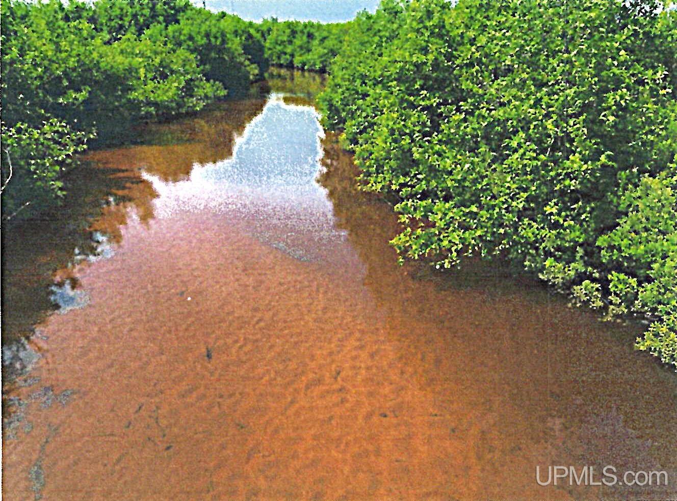 47.50 Acres Tbd 412 Co Road Property Photo 10