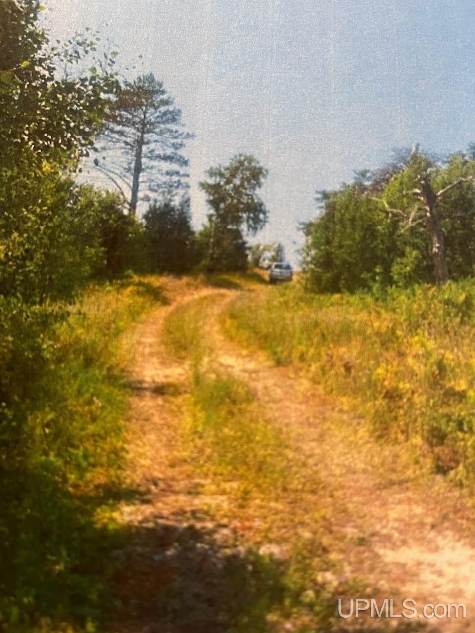 47.50 Acres Tbd 412 Co Road Property Photo 14
