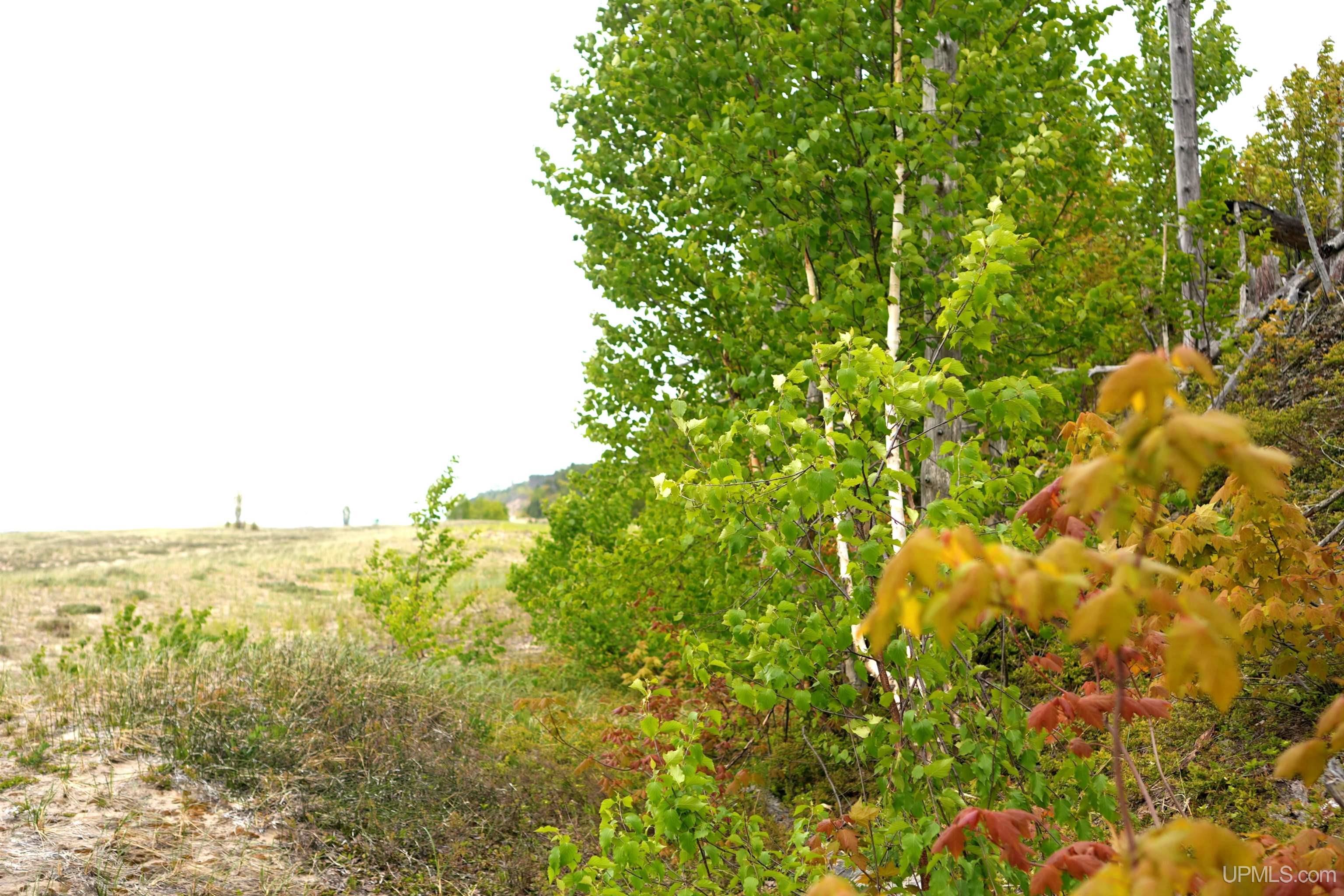47.50 Acres Tbd 412 Co Road Property Photo 19