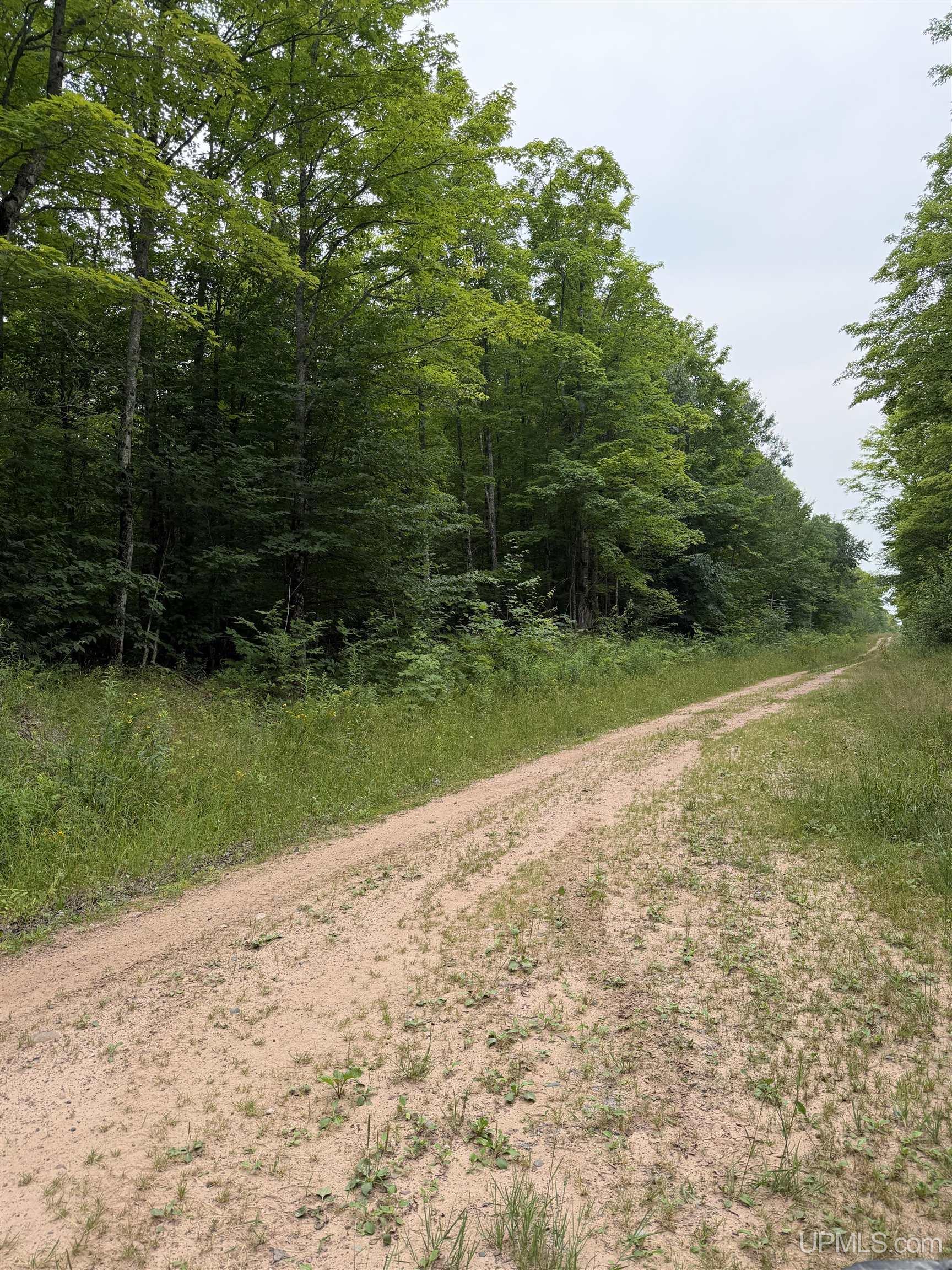 Tbd8 Off Wilderness Drive Property Photo 1