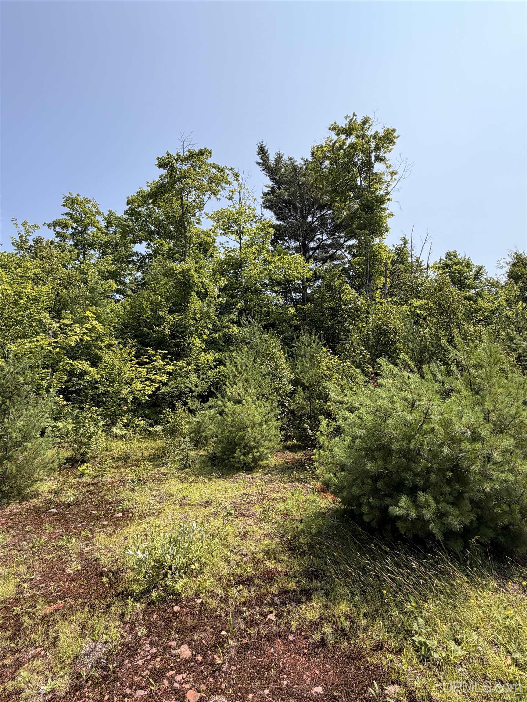 Tbd Highland Drive Property Photo 13