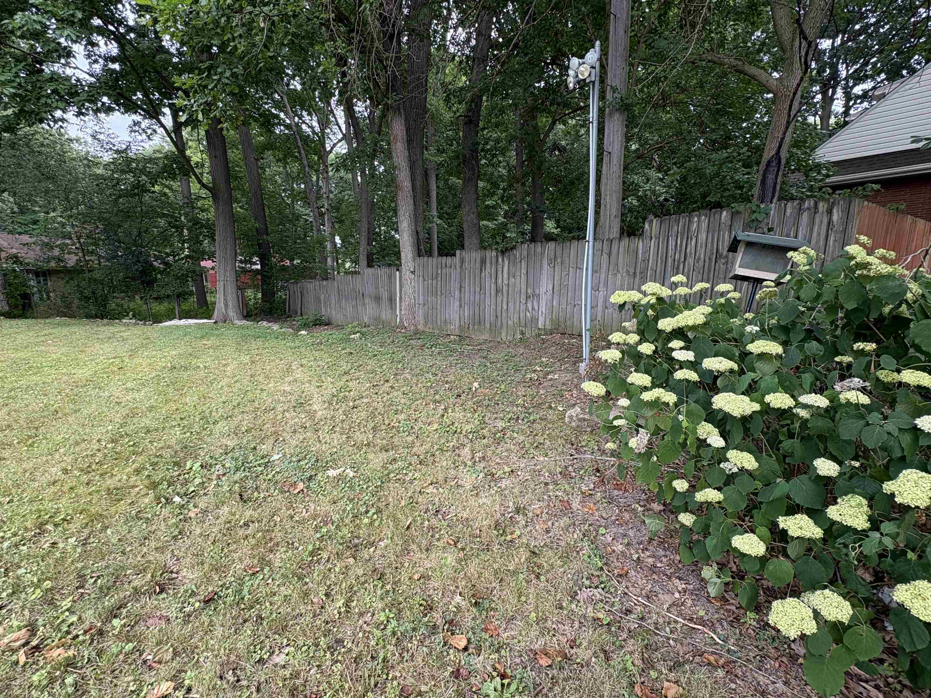 1402 Woodslea Street Property Photo 9