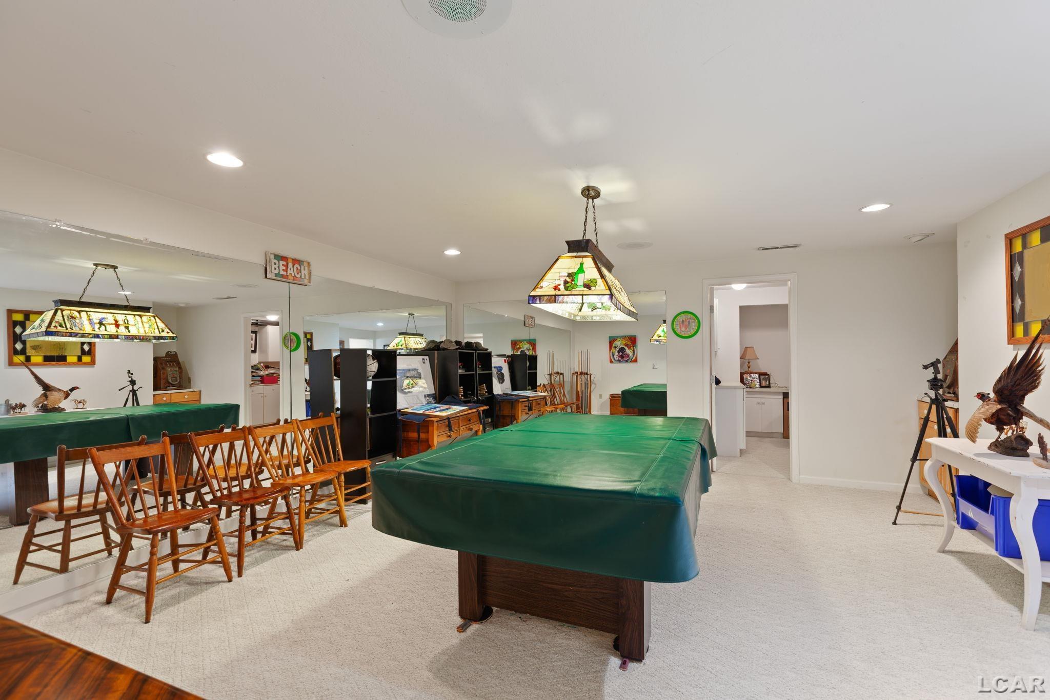 8234 Irish Mist Drive Property Photo 56
