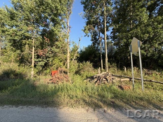 10459 Baker Road Property Photo 3