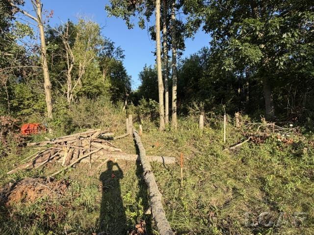10459 Baker Road Property Photo 4