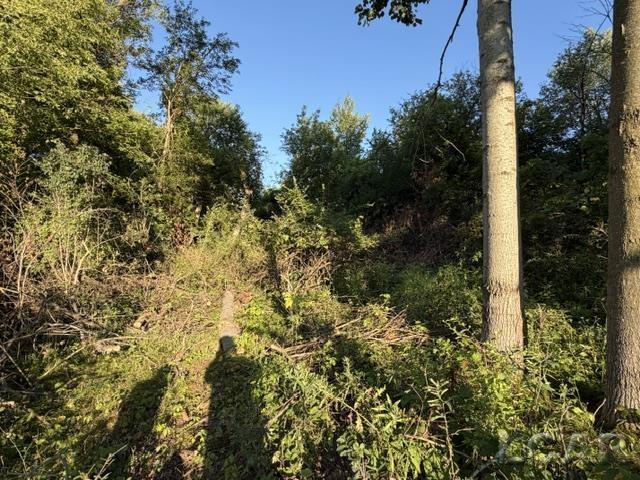 10459 Baker Road Property Photo 5
