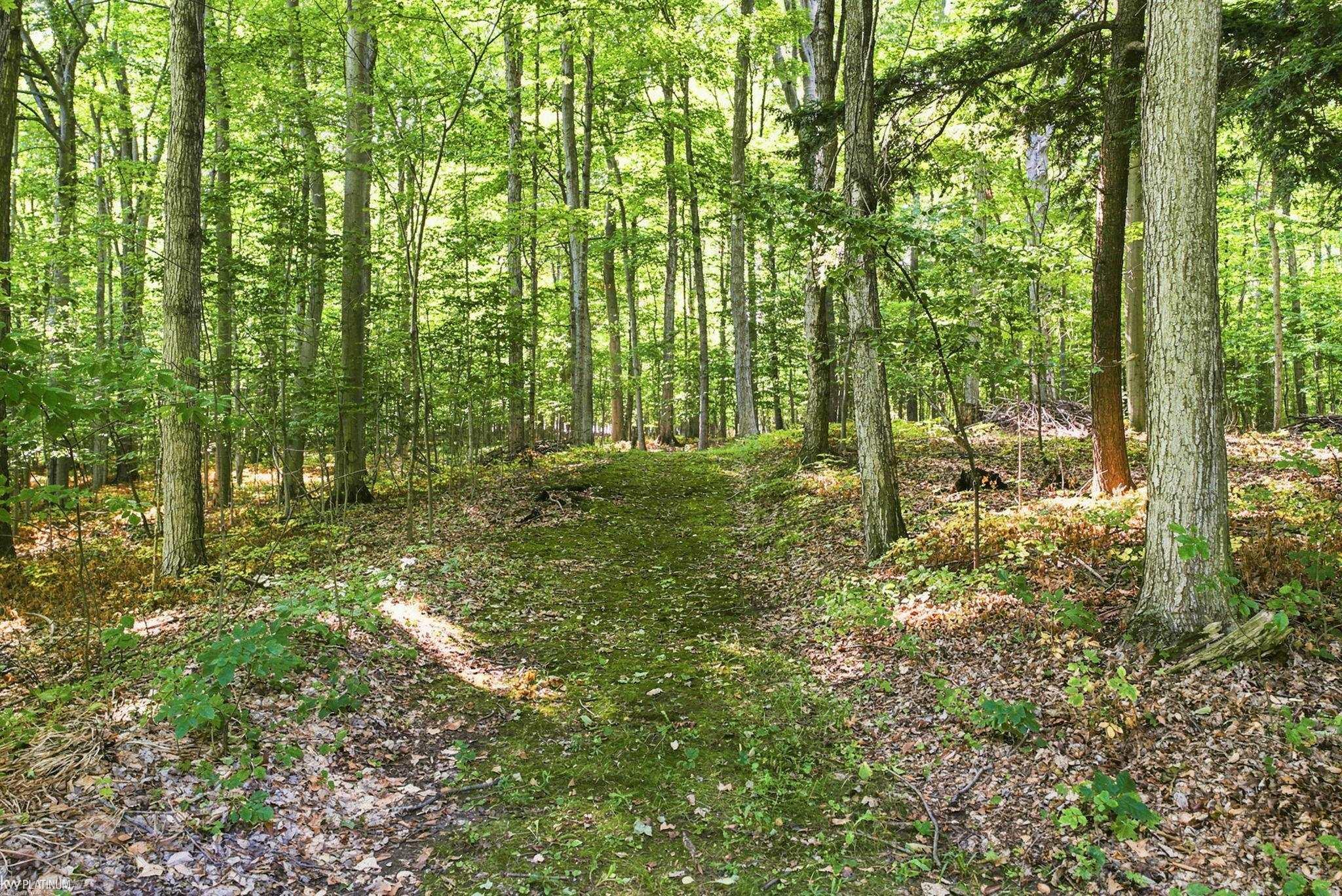 3603 Wixson Road Property Photo 48