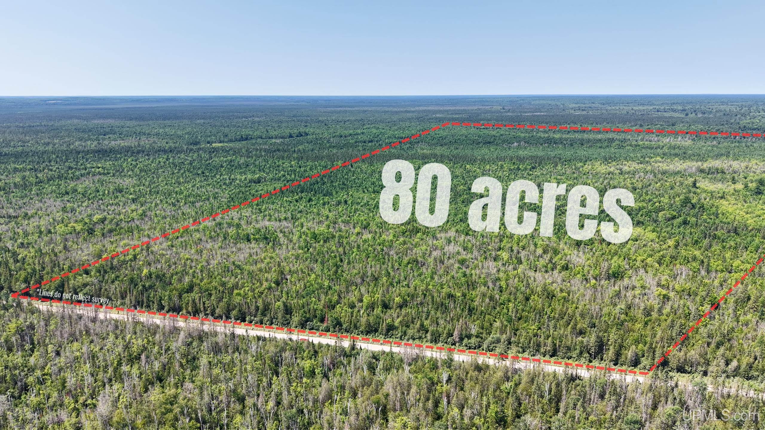 Tbd E N Co Rd 415 Road Property Photo 1
