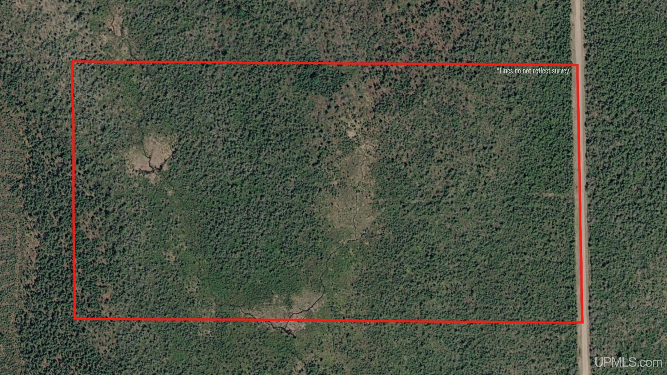 Tbd E N Co Rd 415 Road Property Photo 4