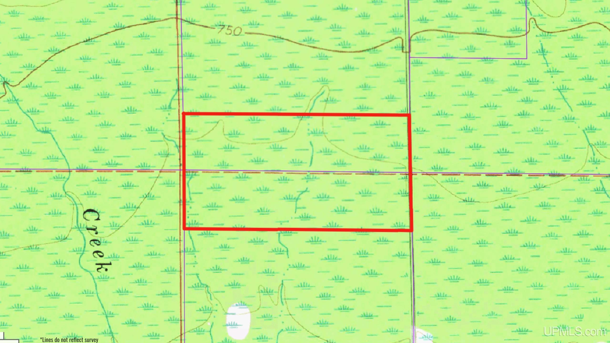 Tbd E N Co Rd 415 Road Property Photo 9
