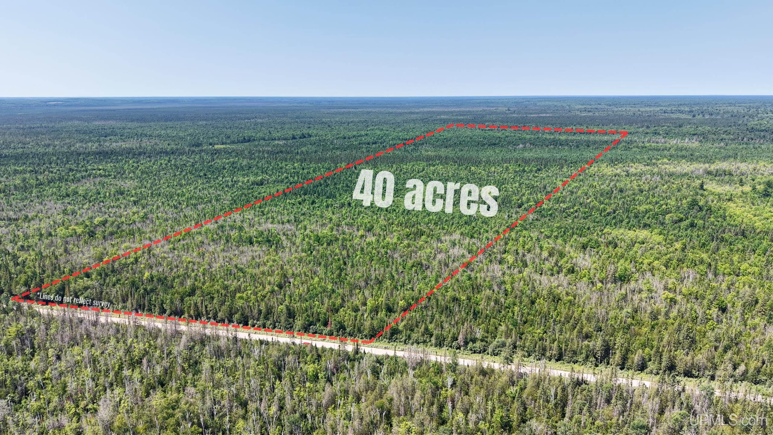 Tbd E N Co Rd 415 Road Property Photo 1