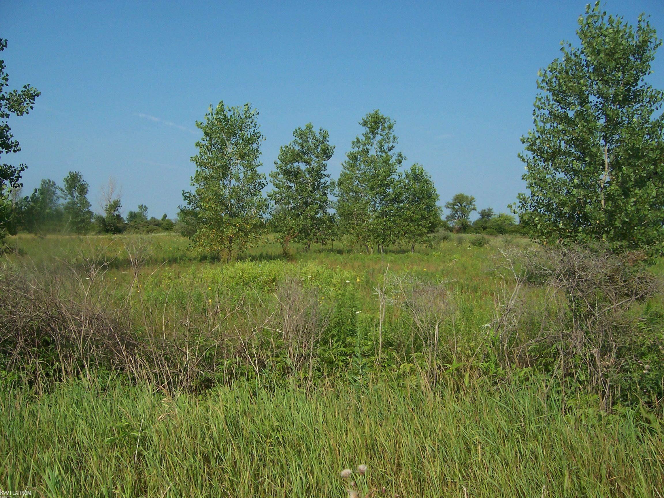 Vacant Minor Rd Road Property Photo 1