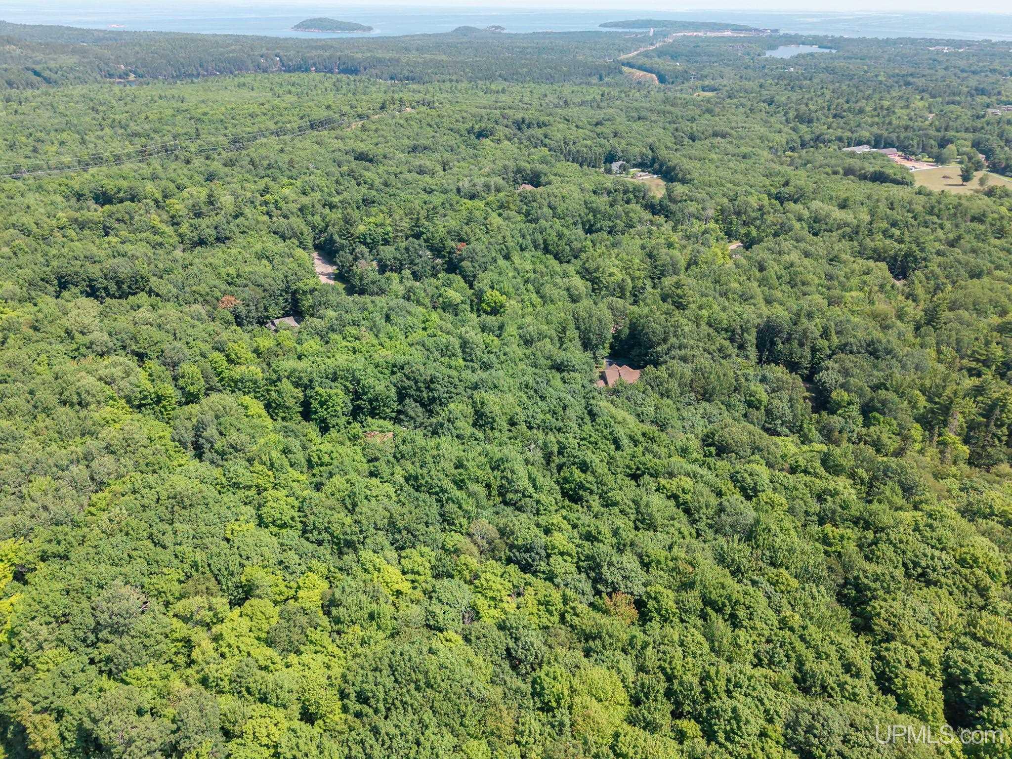 135 Hidden Springs Drive Property Photo 68