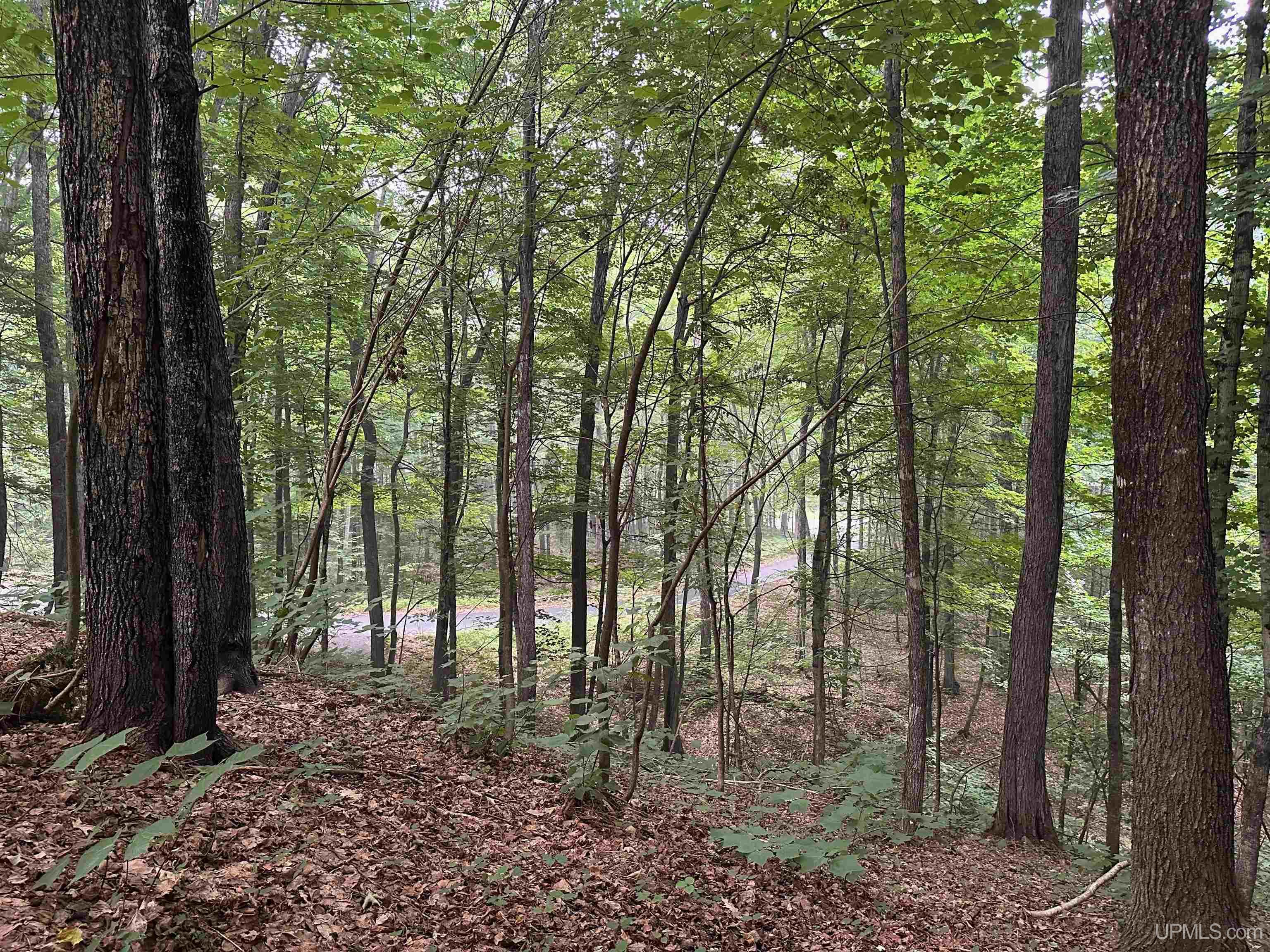 135 Hidden Springs Drive Property Photo 70