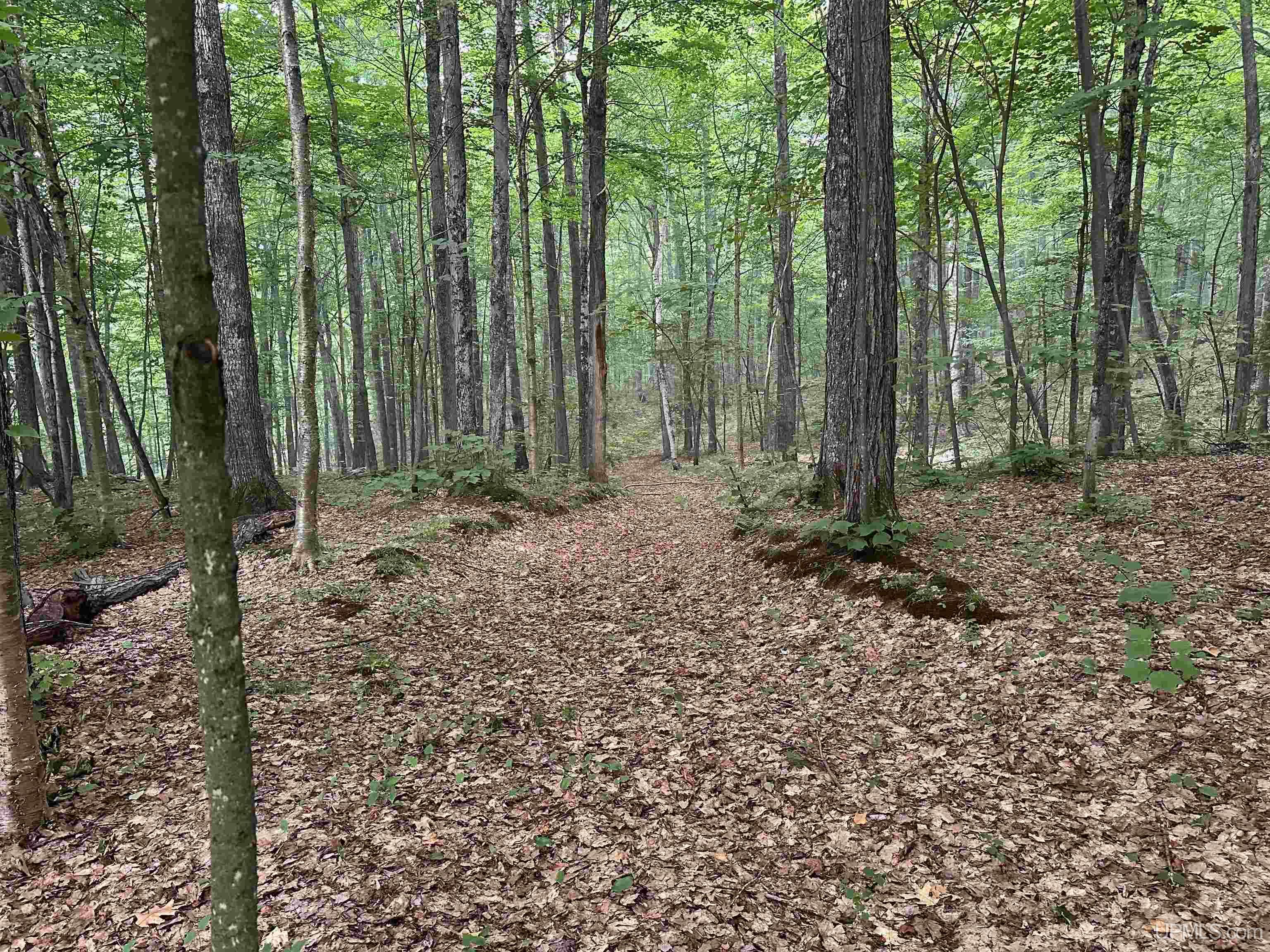 135 Hidden Springs Drive Property Photo 73