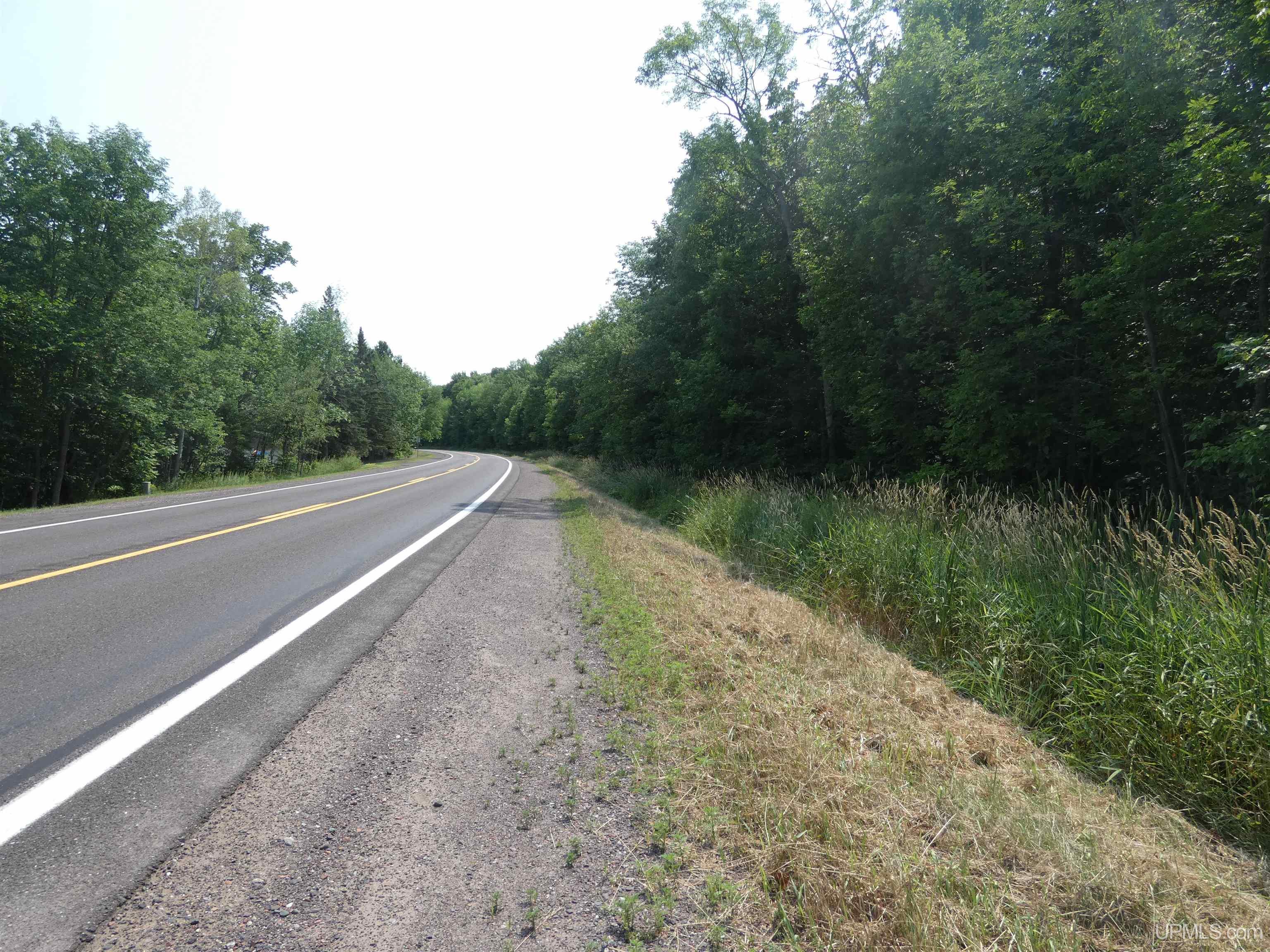 Tbd M-64 Highway Property Photo 2