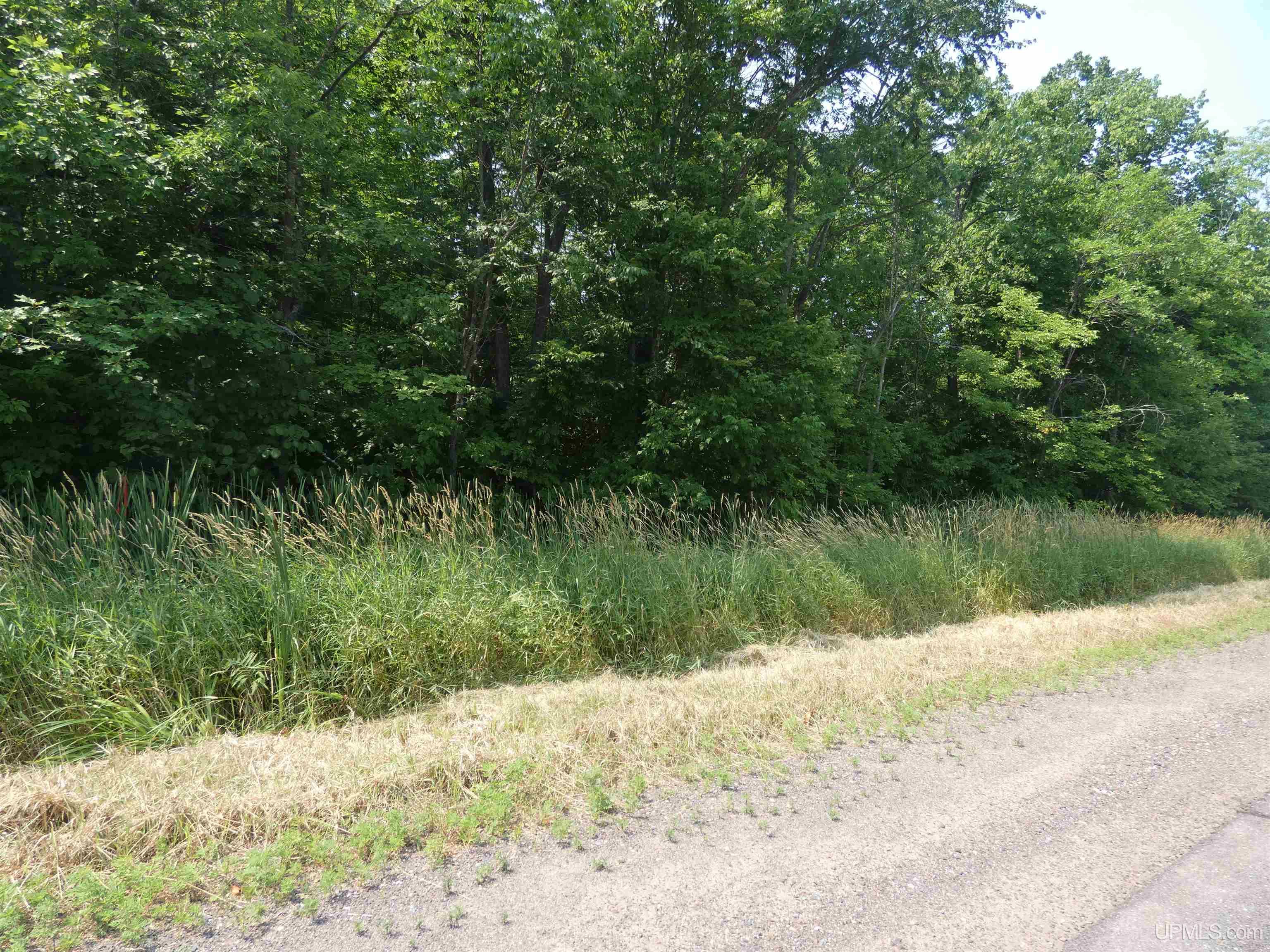 Tbd M-64 Highway Property Photo 3