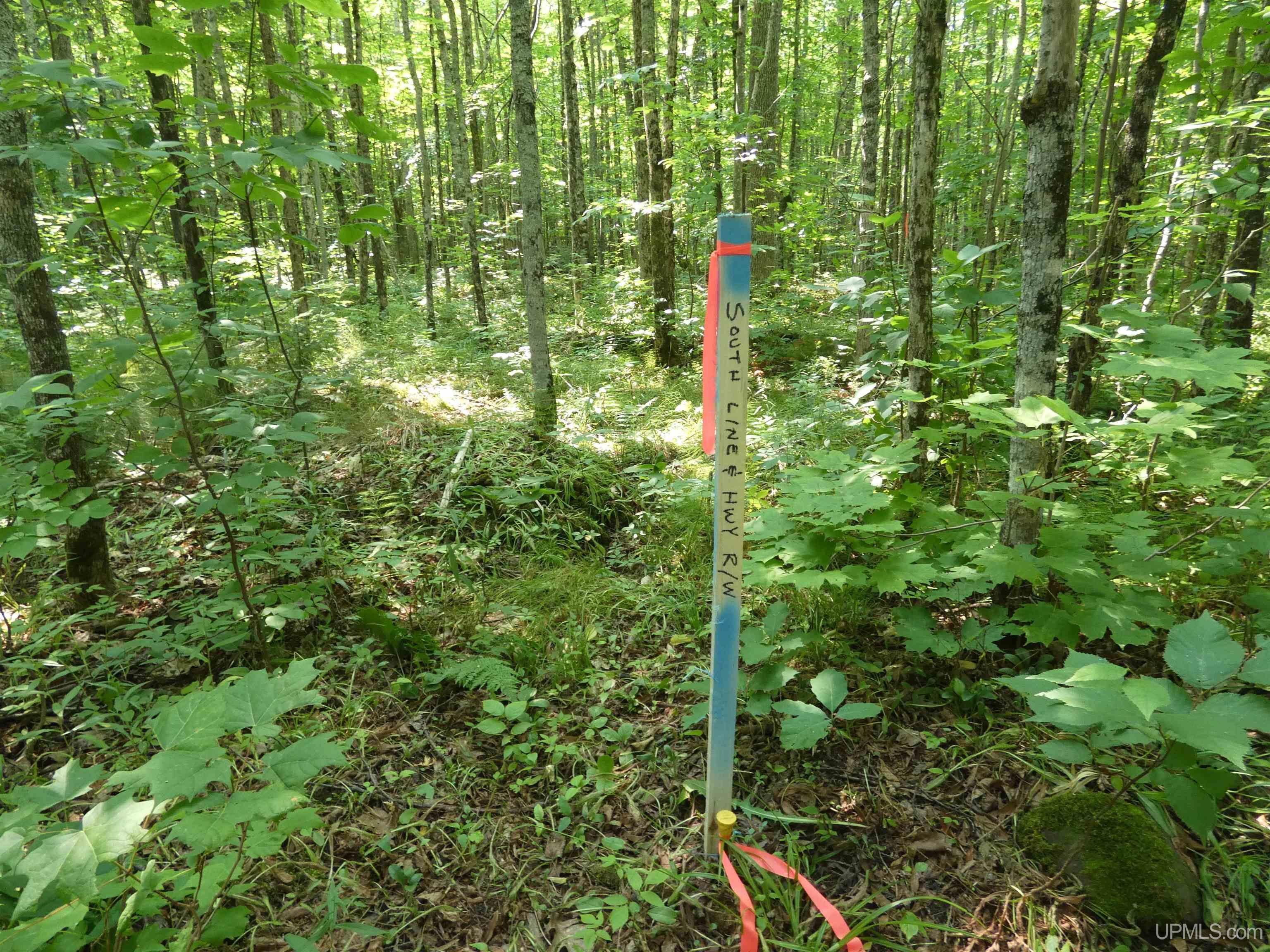 Tbd M-64 Highway Property Photo 4
