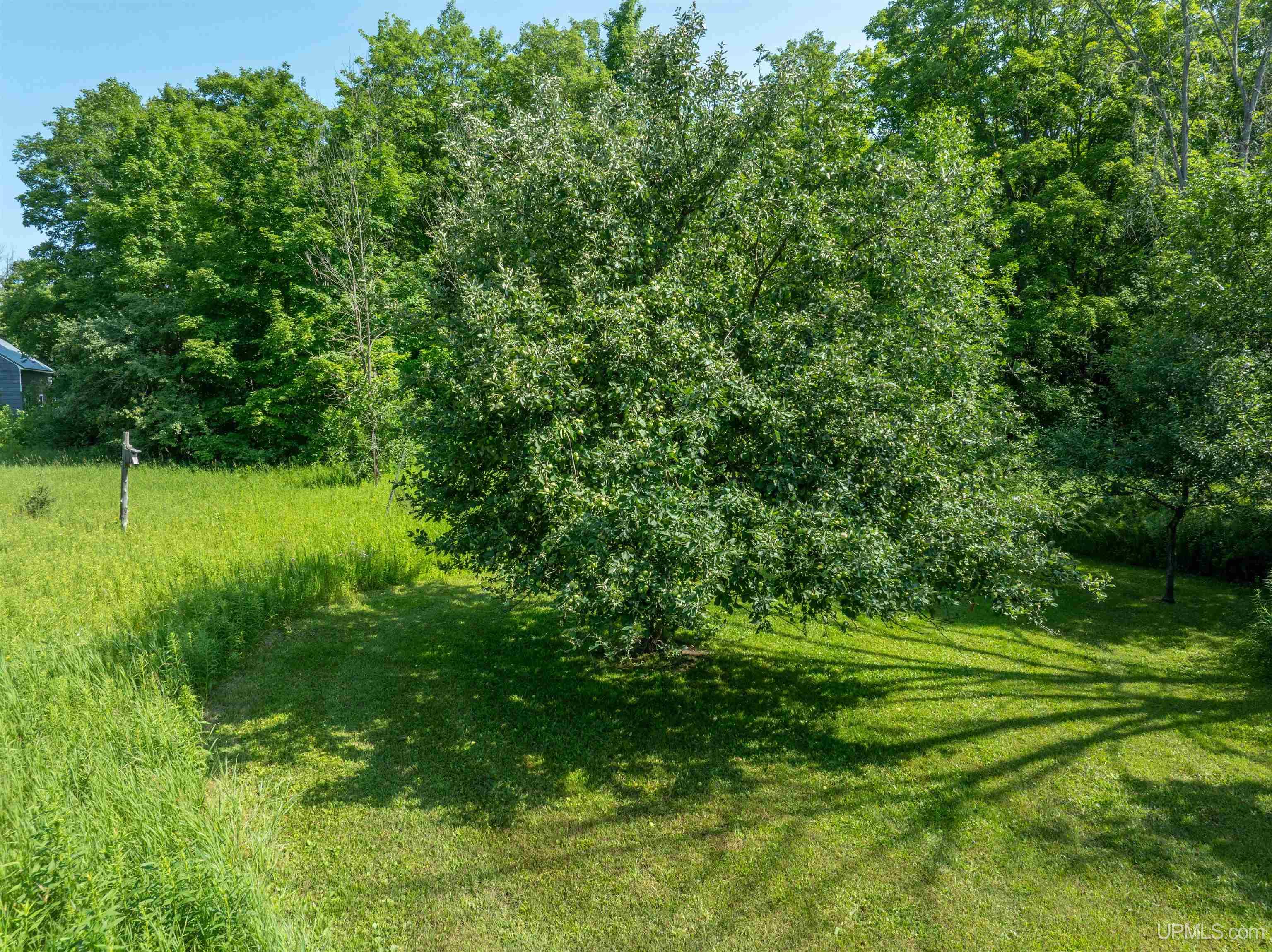 N4156 Et Road Property Photo 41