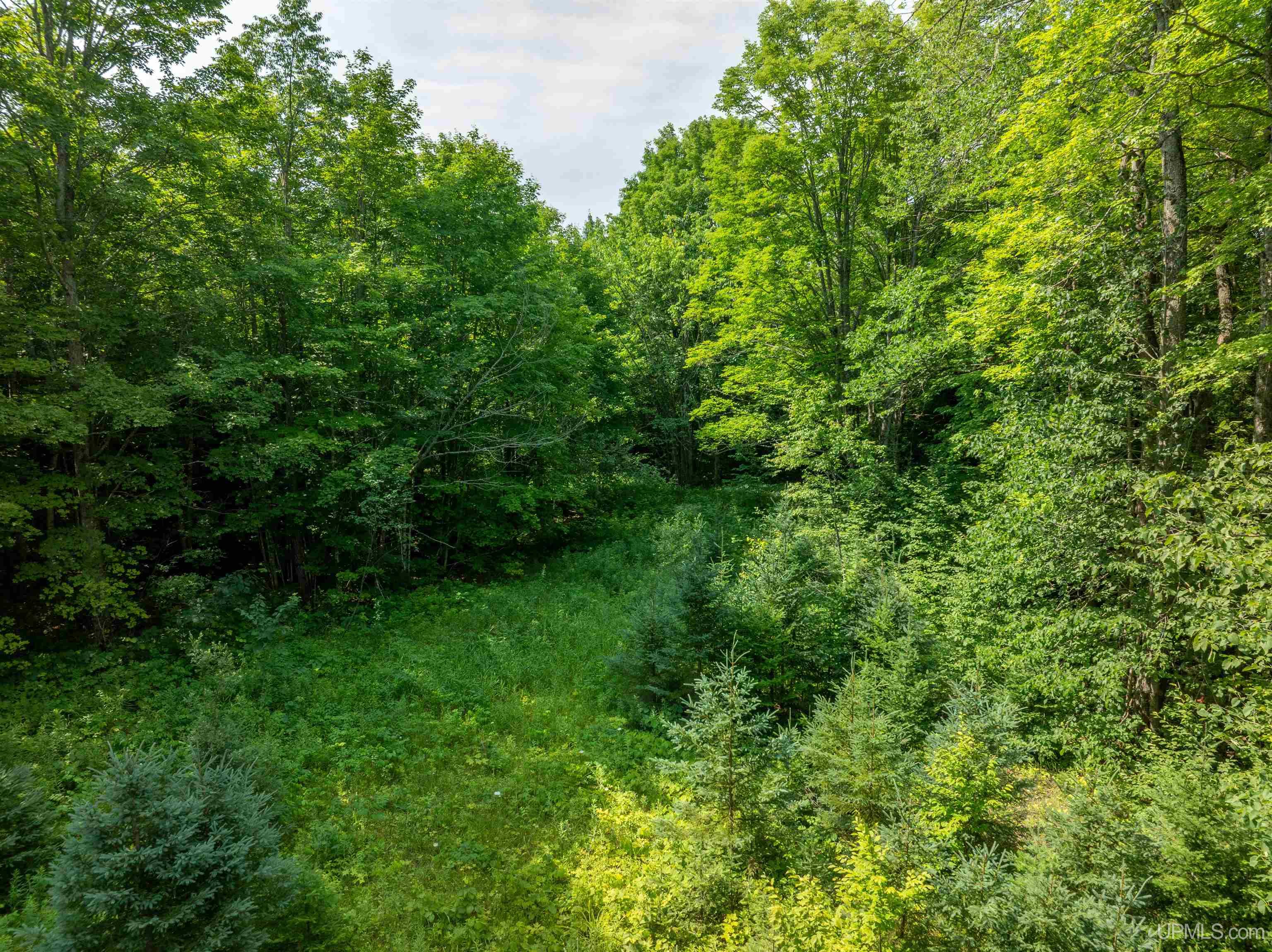 E12329 H58 Highway Property Photo 30