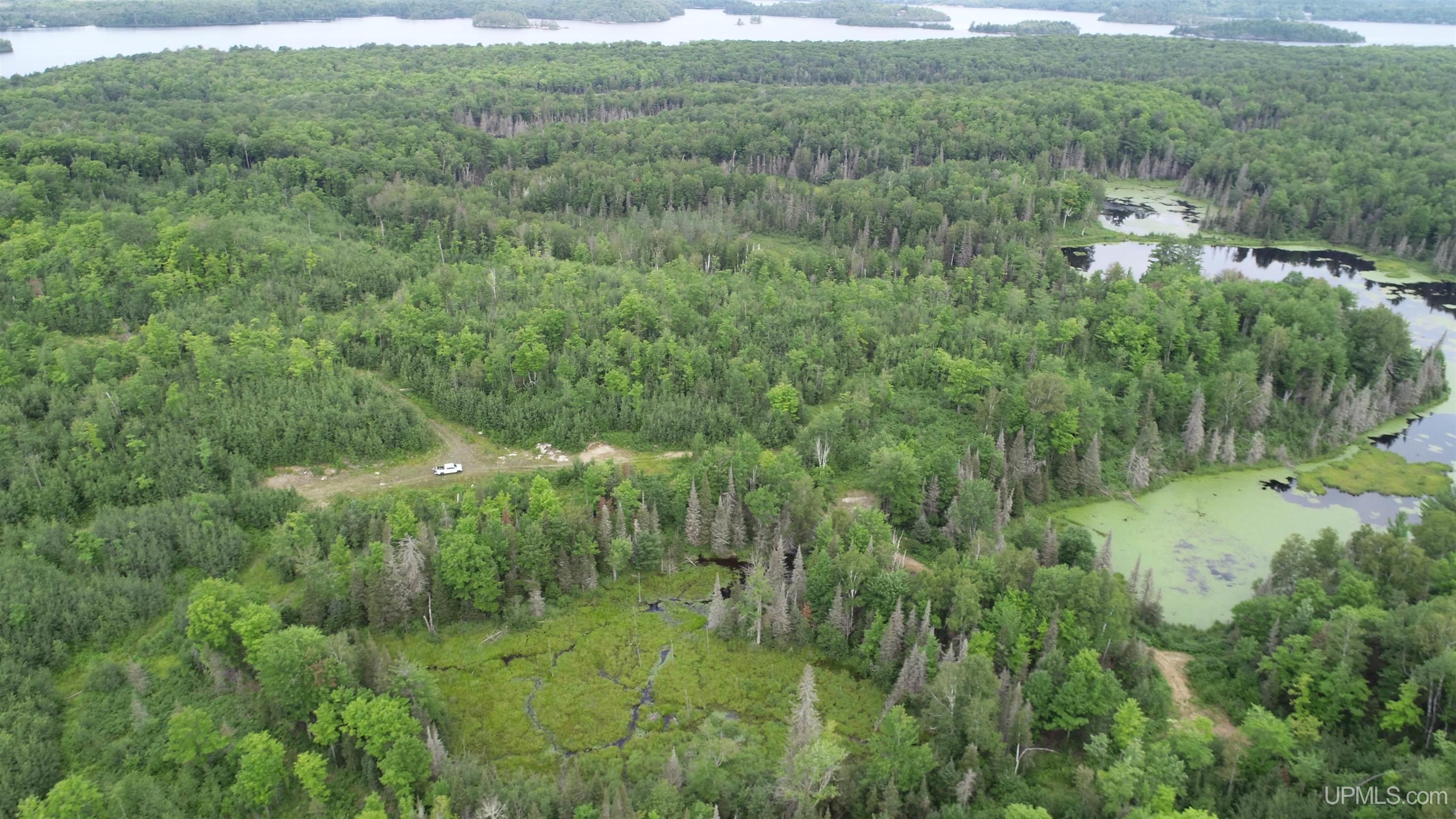 300 Acres Holli Blue Road Property Photo 1