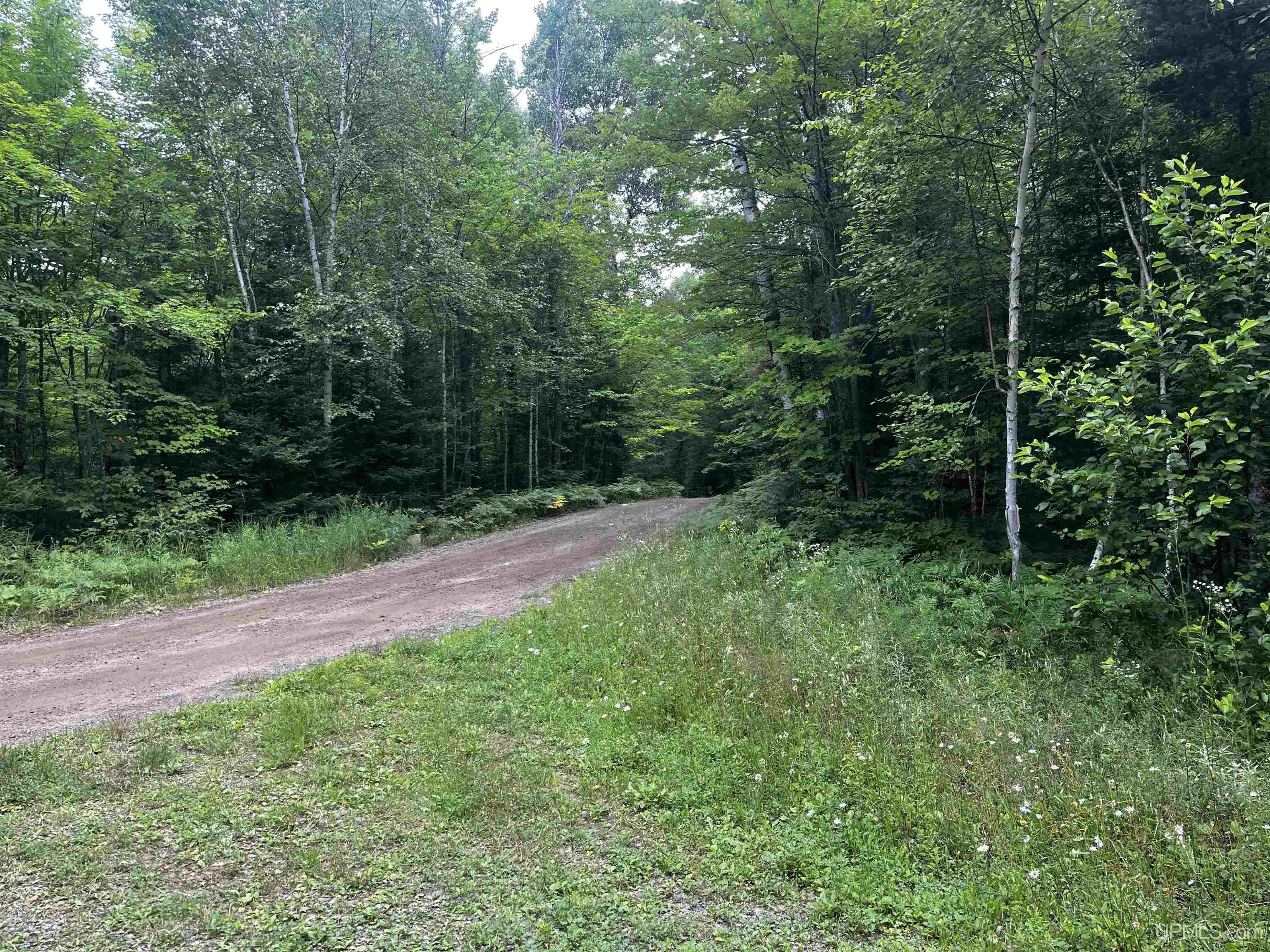 300 Acres Holli Blue Road Property Photo 2