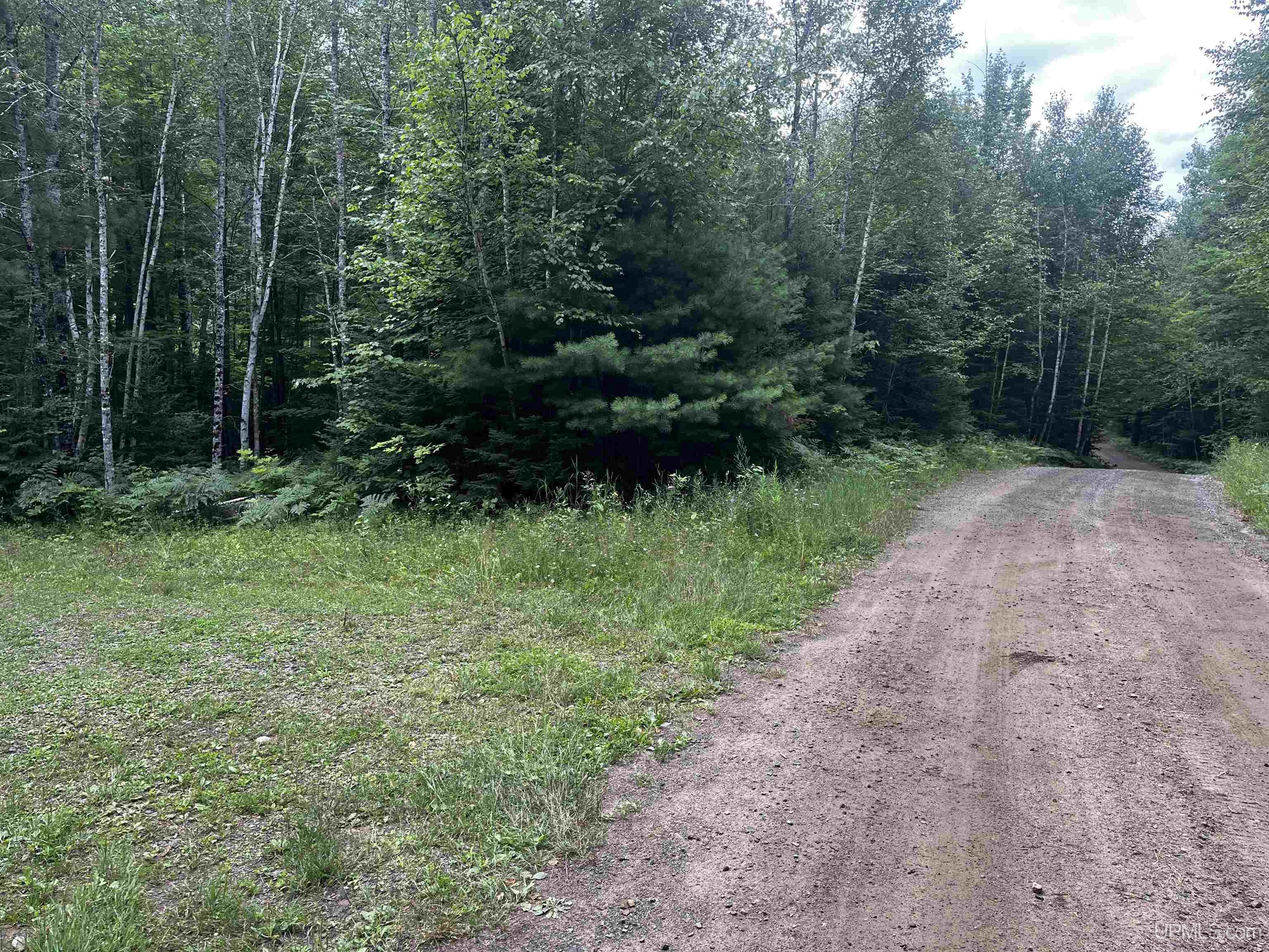 300 Acres Holli Blue Road Property Photo 3