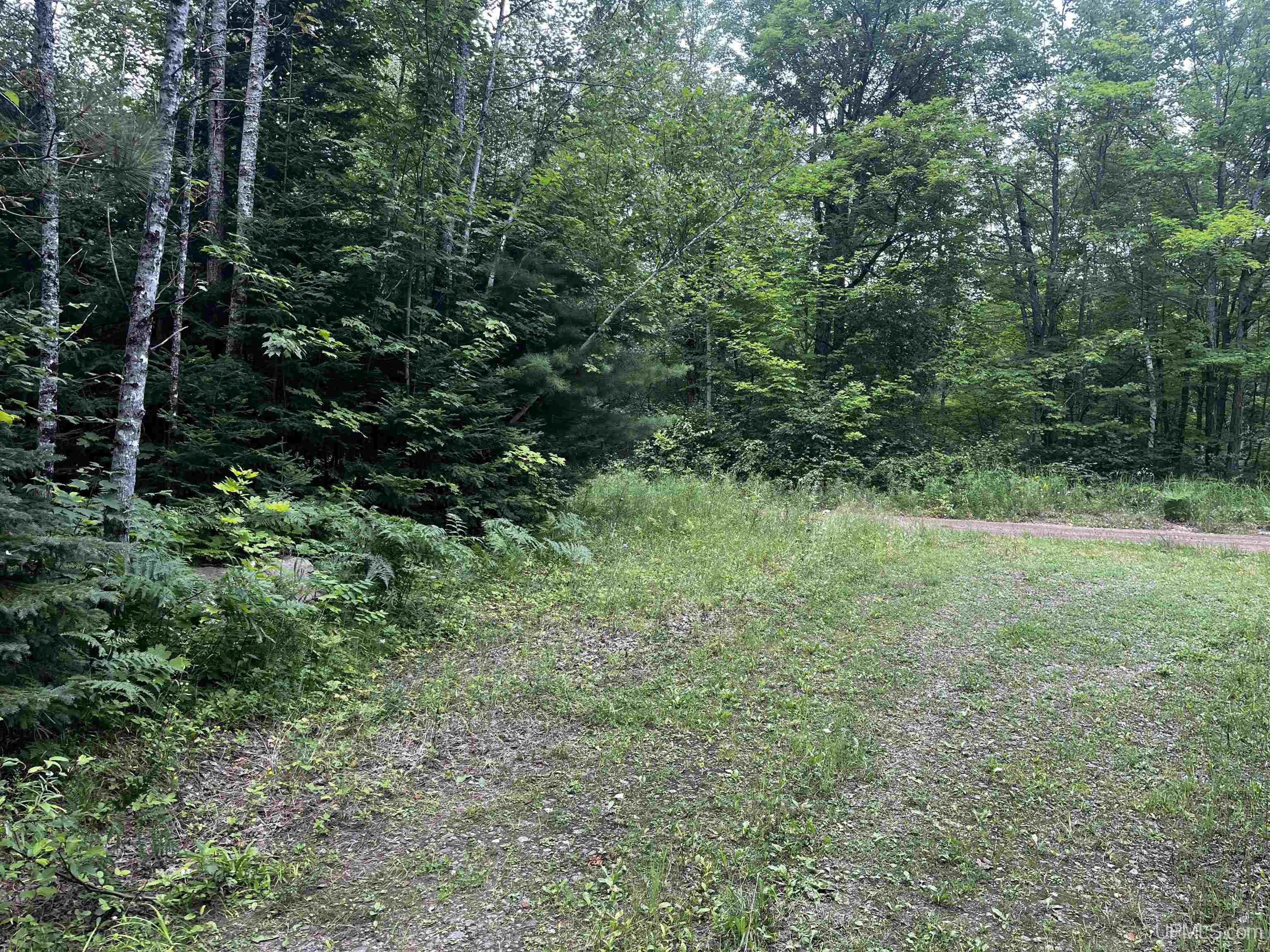 300 Acres Holli Blue Road Property Photo 4