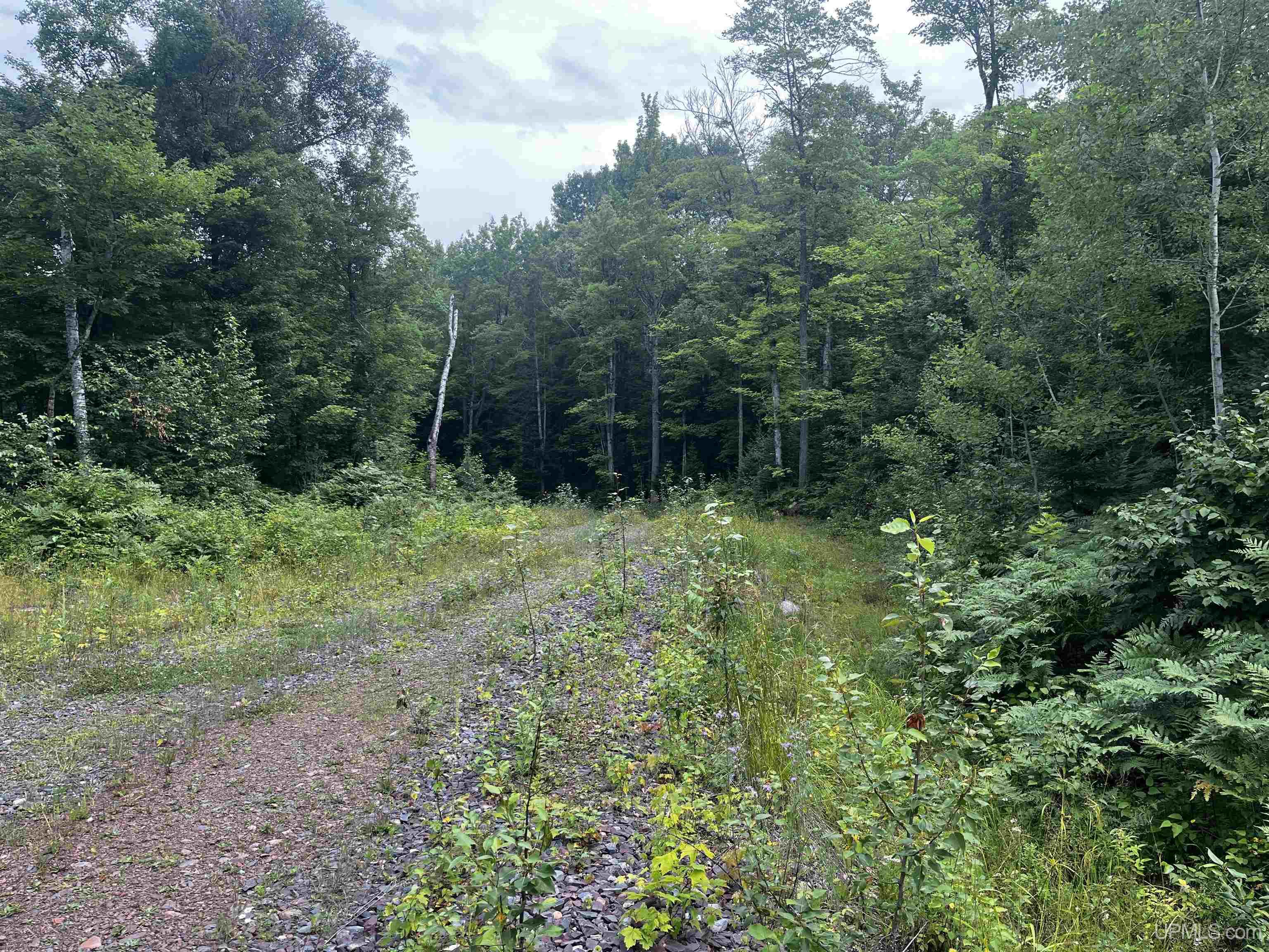 300 Acres Holli Blue Road Property Photo 5