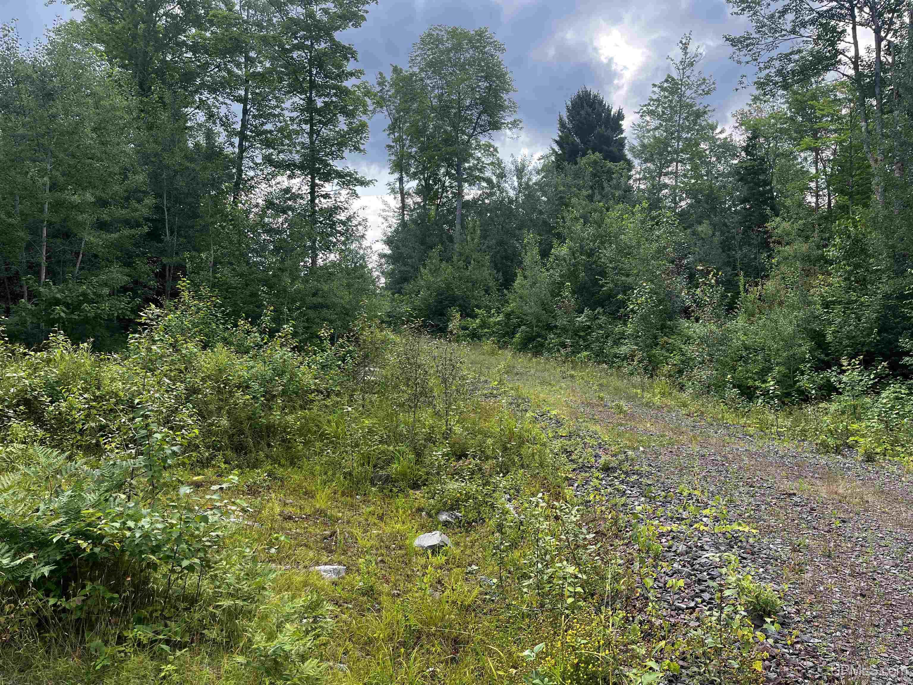 300 Acres Holli Blue Road Property Photo 6