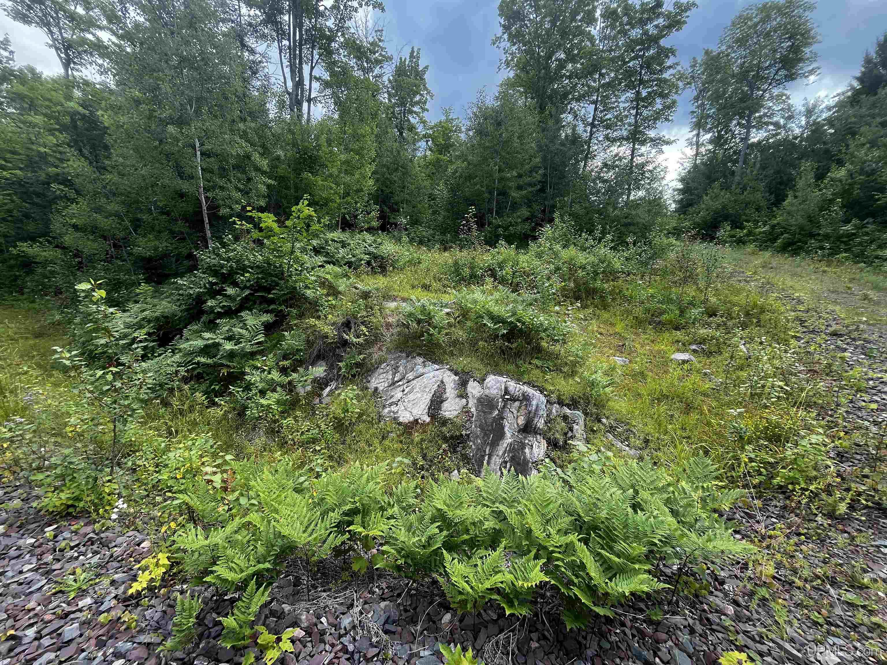 300 Acres Holli Blue Road Property Photo 7