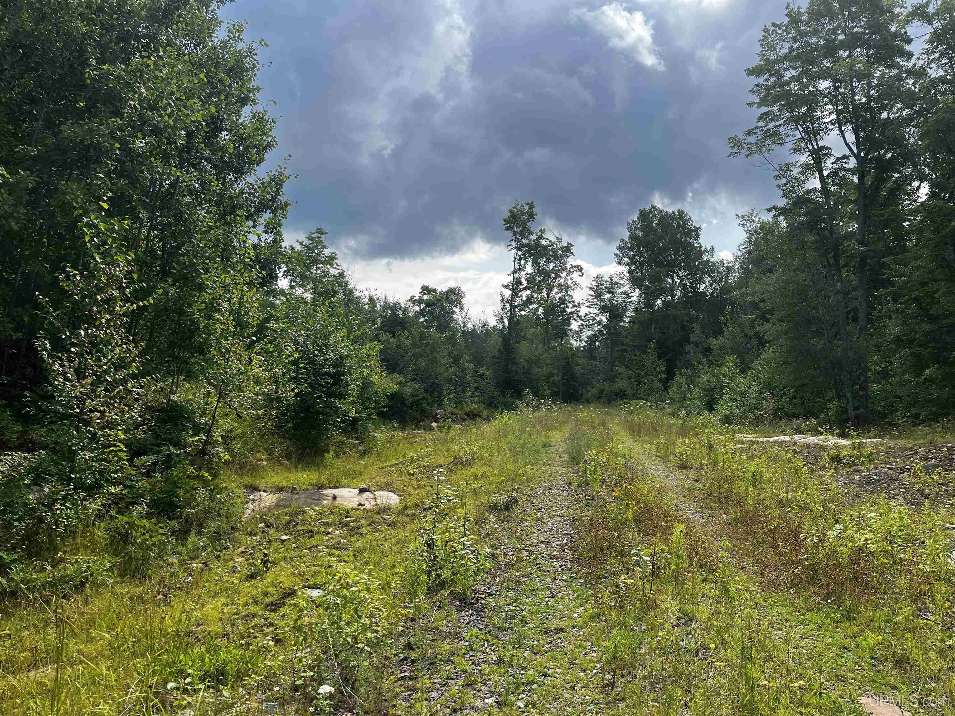 300 Acres Holli Blue Road Property Photo 8