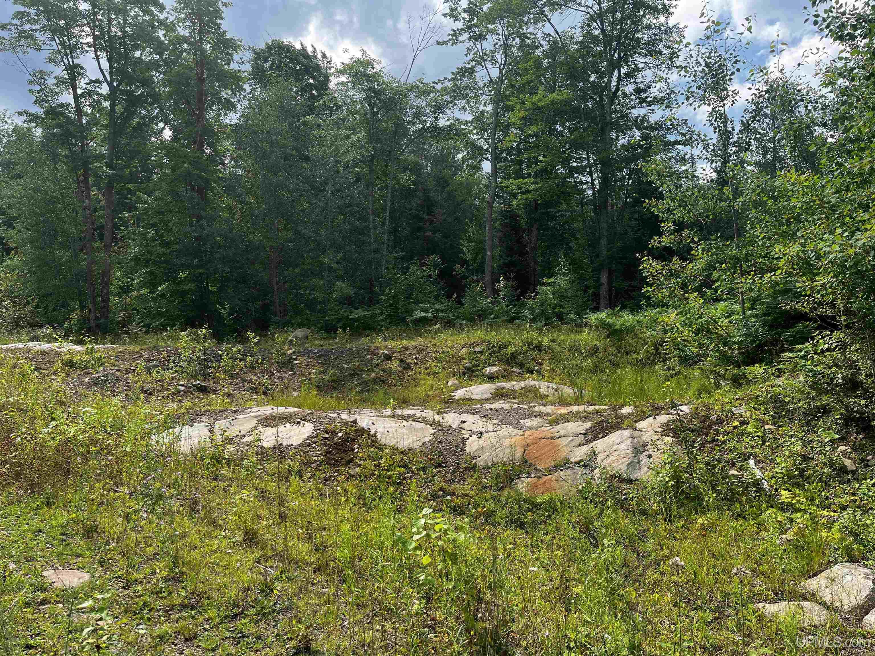 300 Acres Holli Blue Road Property Photo 9