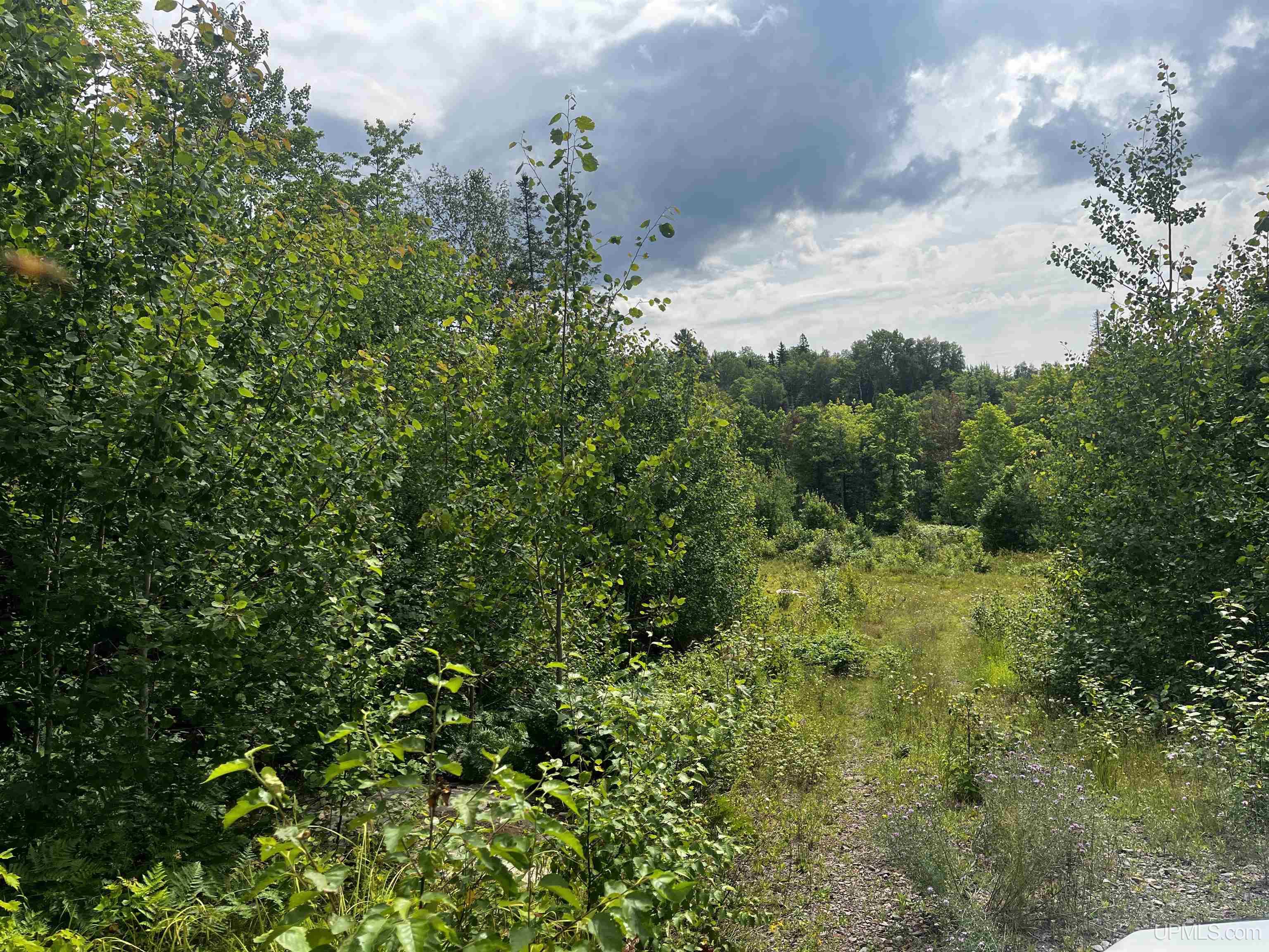 300 Acres Holli Blue Road Property Photo 11