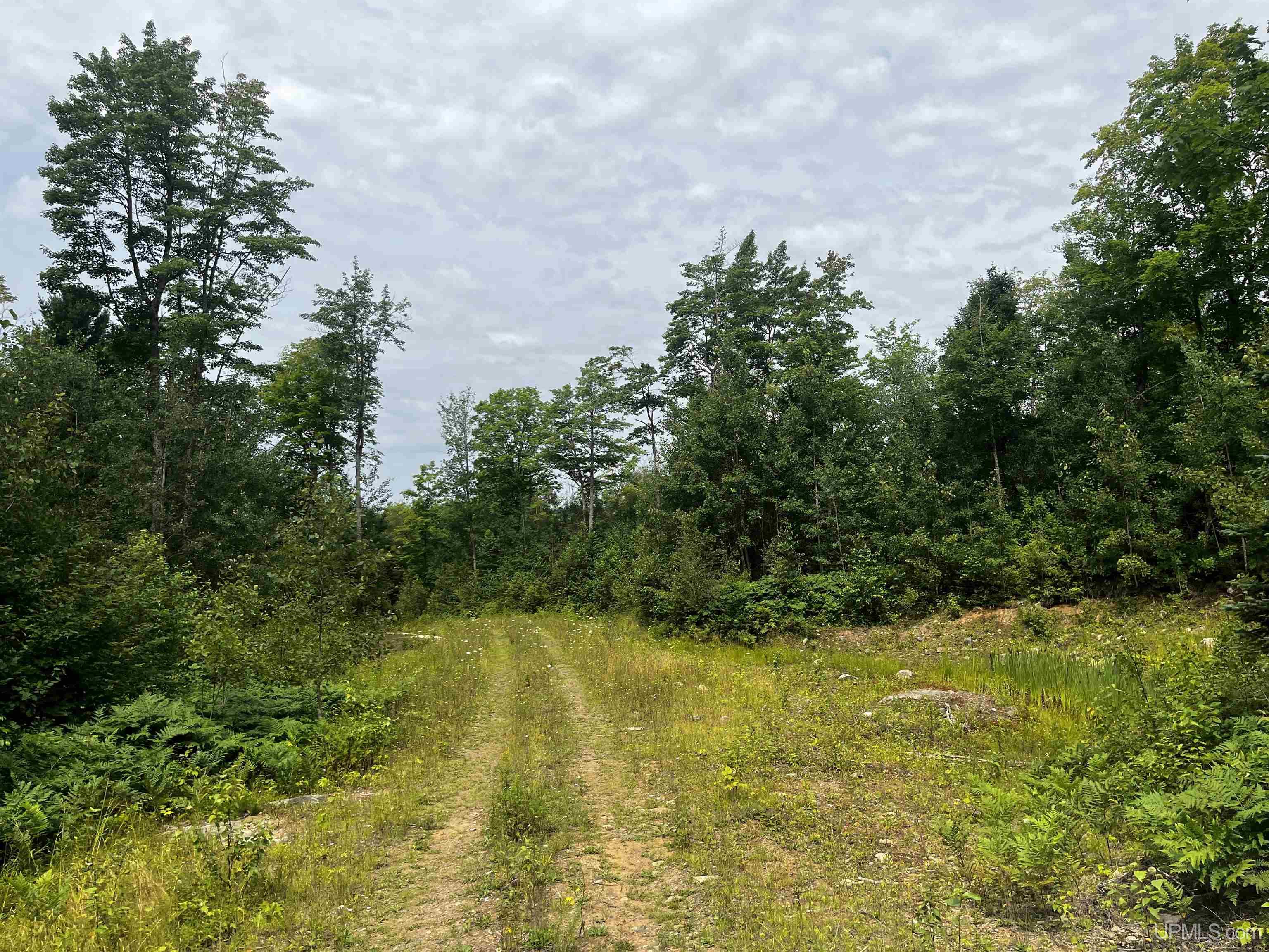 300 Acres Holli Blue Road Property Photo 14