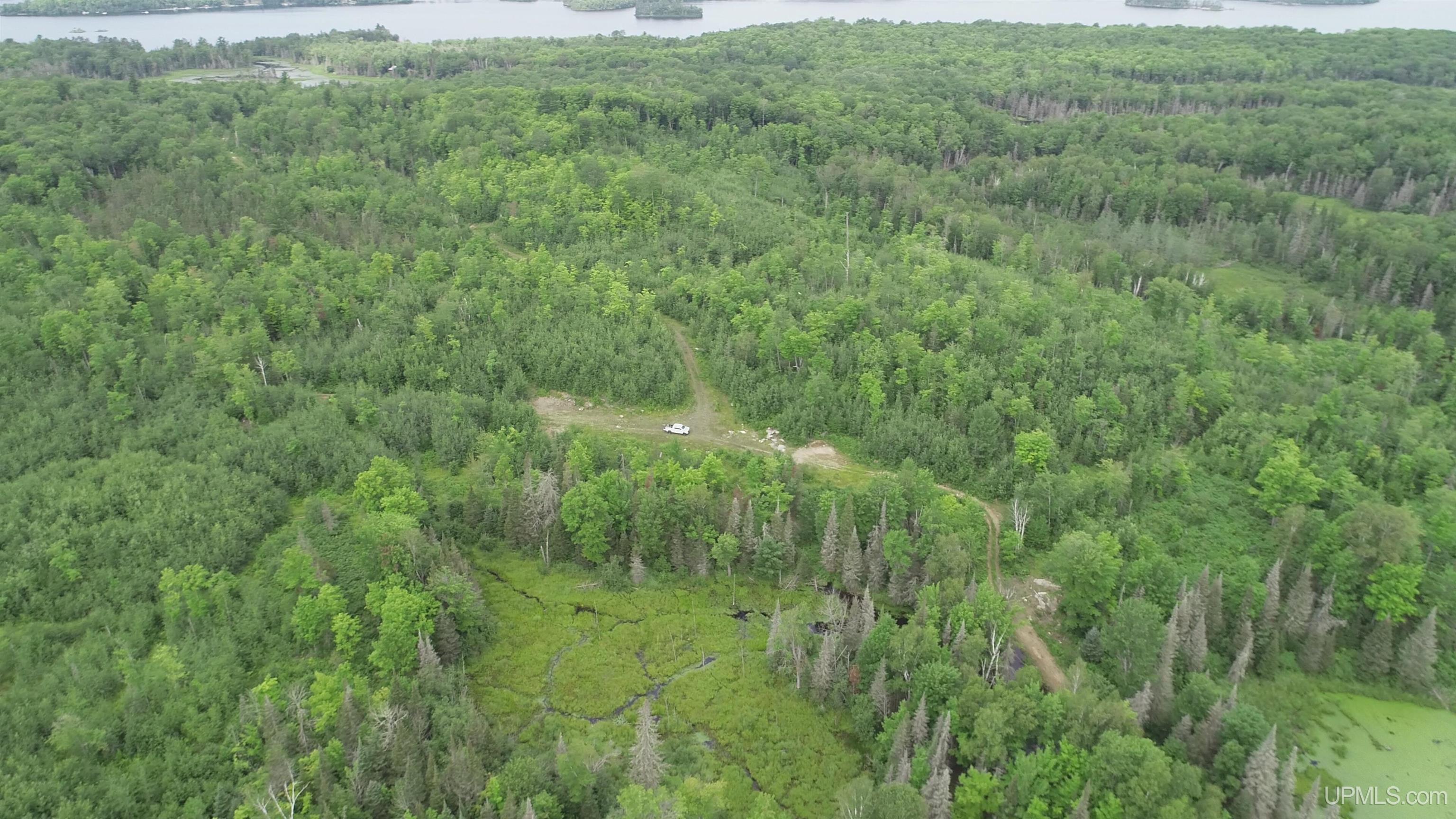 300 Acres Holli Blue Road Property Photo 16