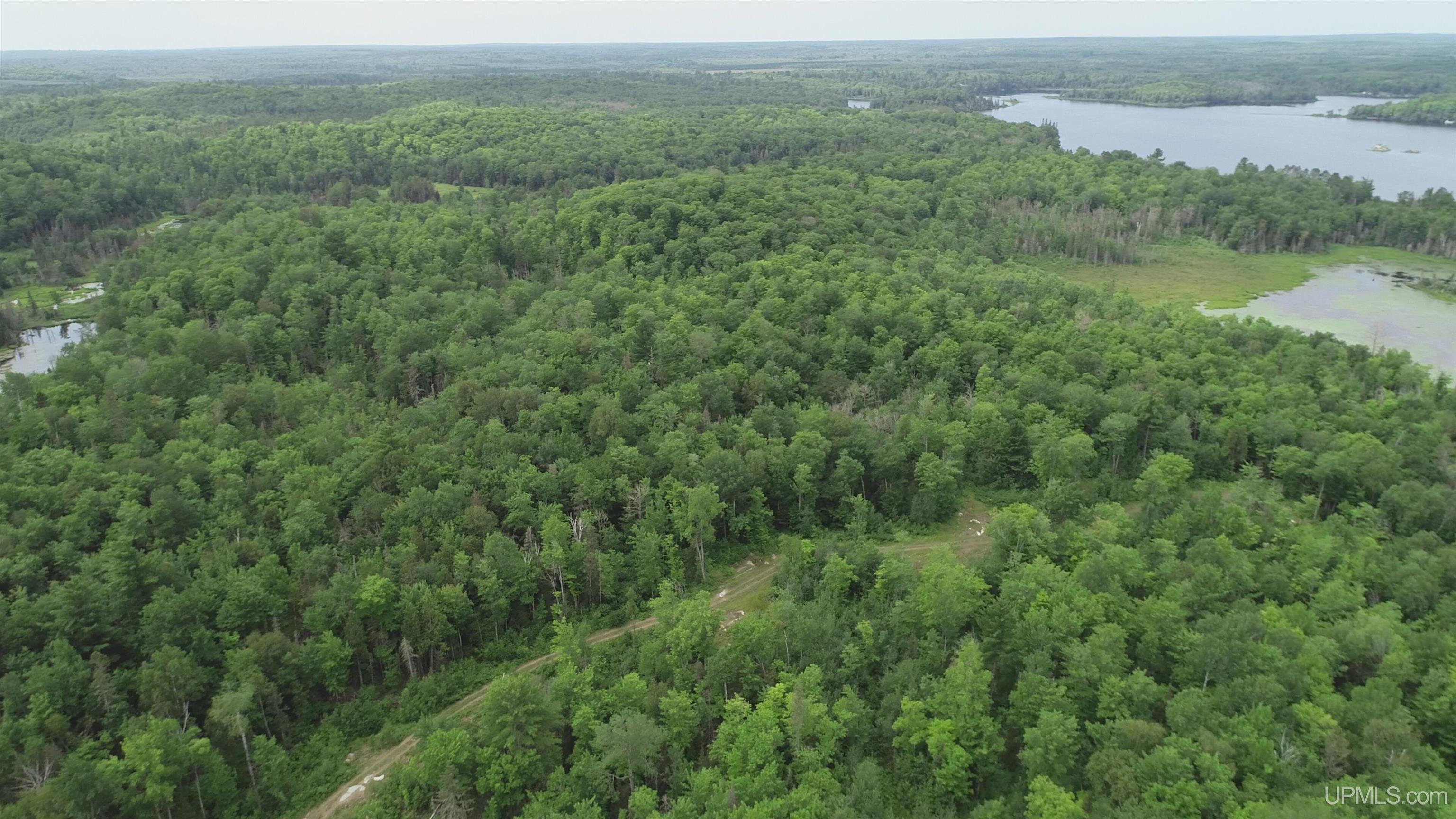 300 Acres Holli Blue Road Property Photo 18