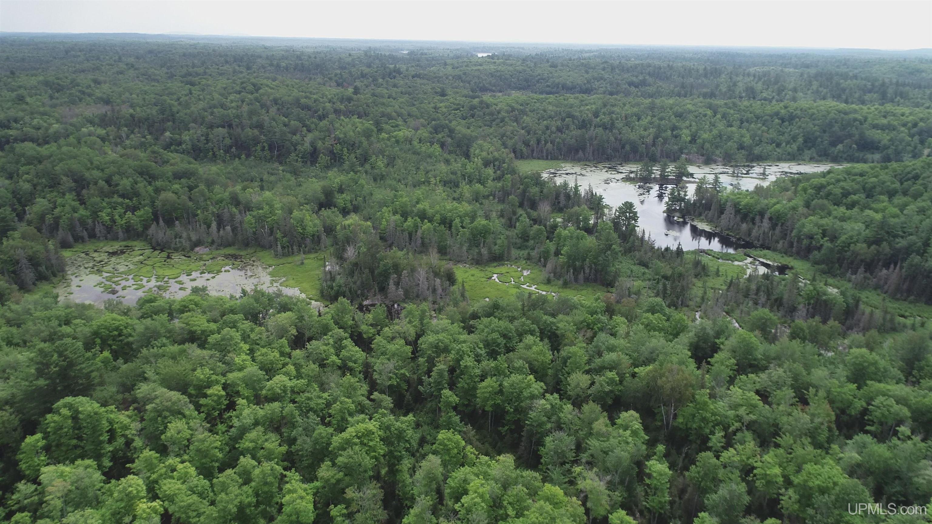 300 Acres Holli Blue Road Property Photo 20