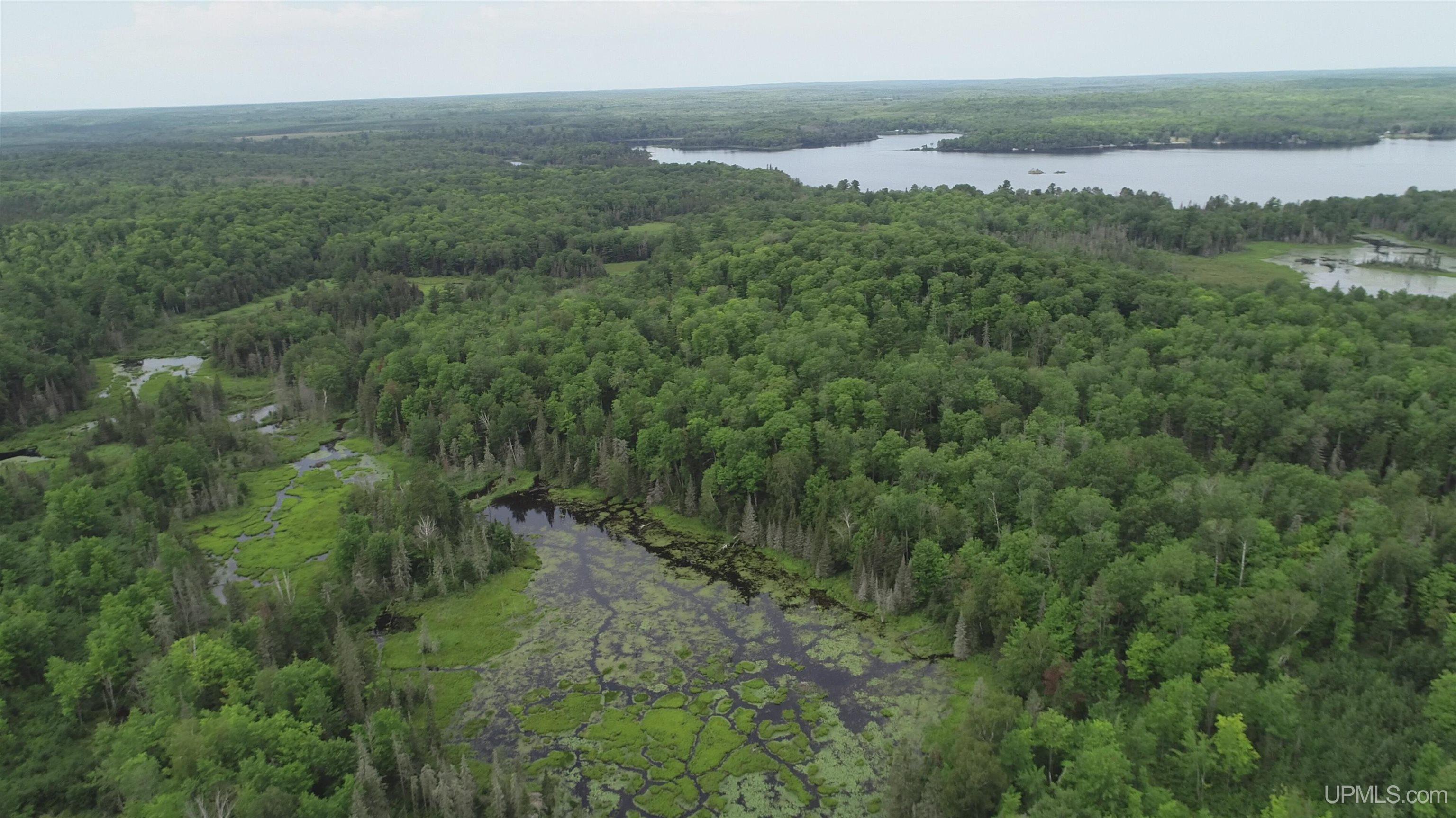 300 Acres Holli Blue Road Property Photo 23