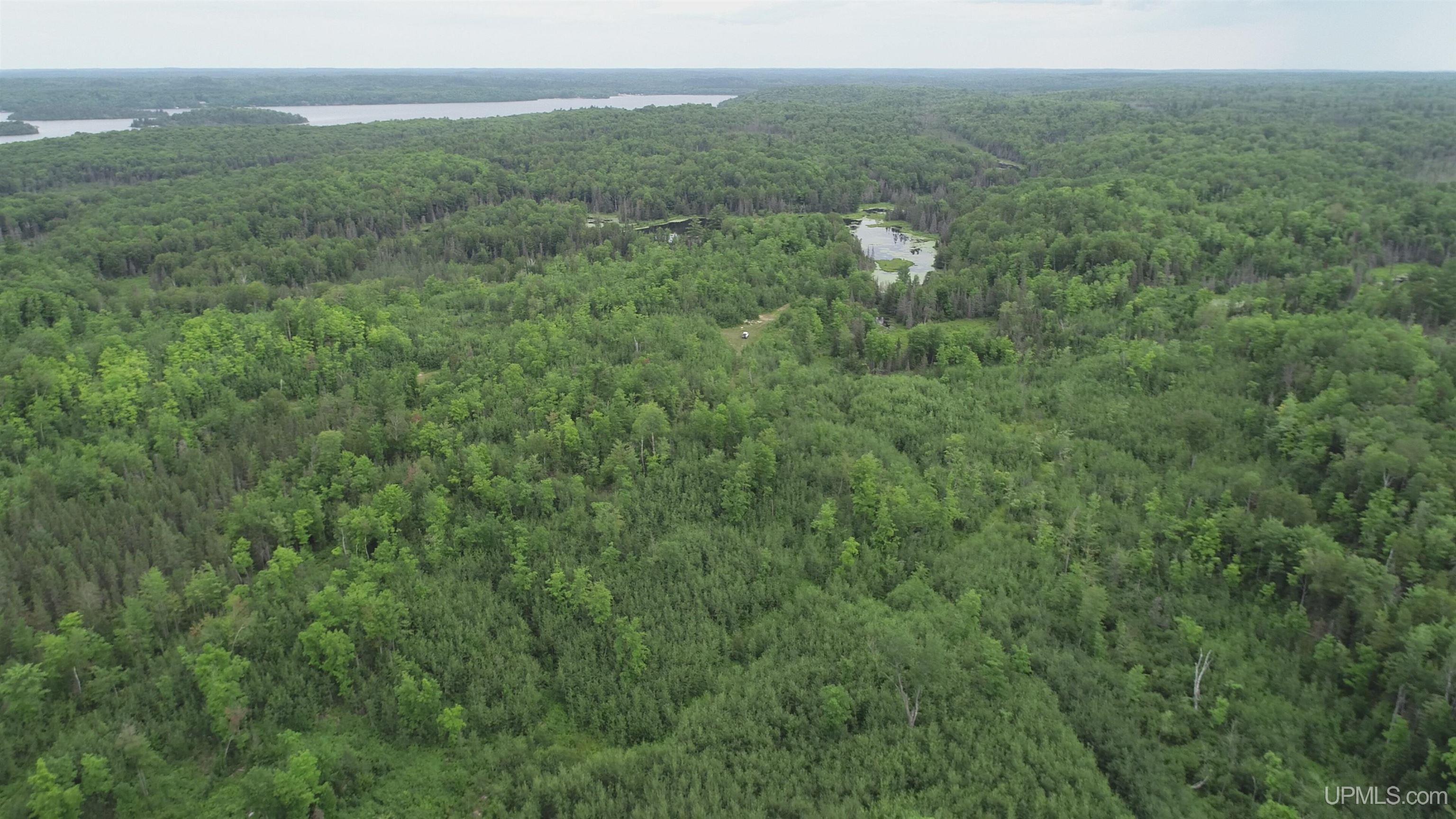 300 Acres Holli Blue Road Property Photo 24