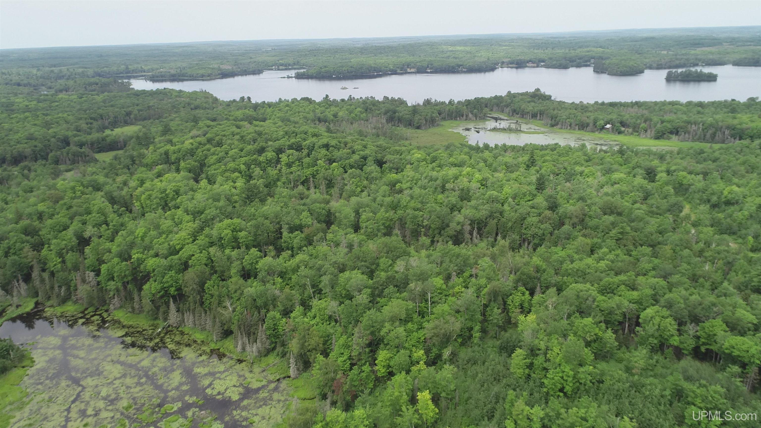 300 Acres Holli Blue Road Property Photo 25