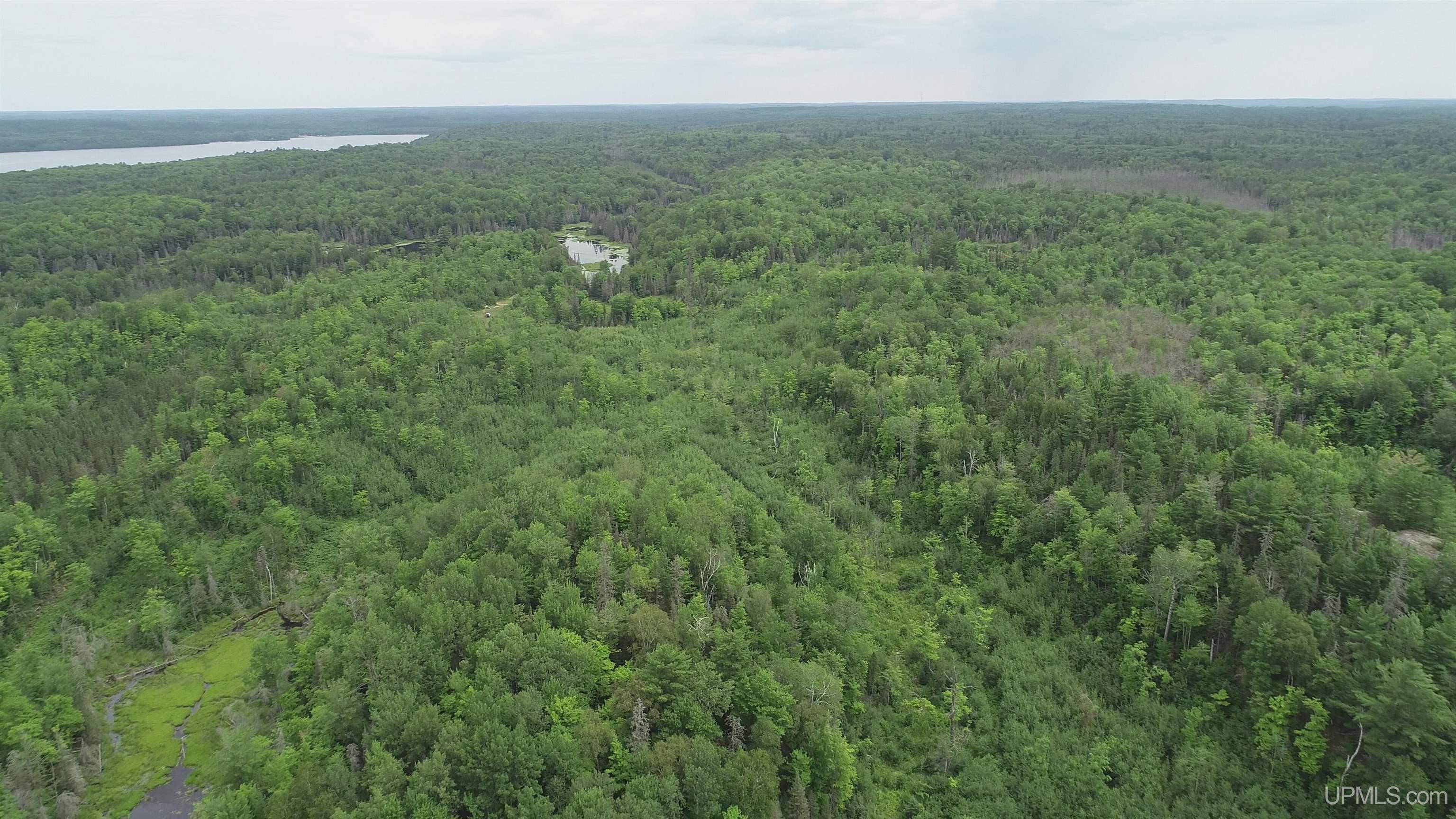 300 Acres Holli Blue Road Property Photo 26
