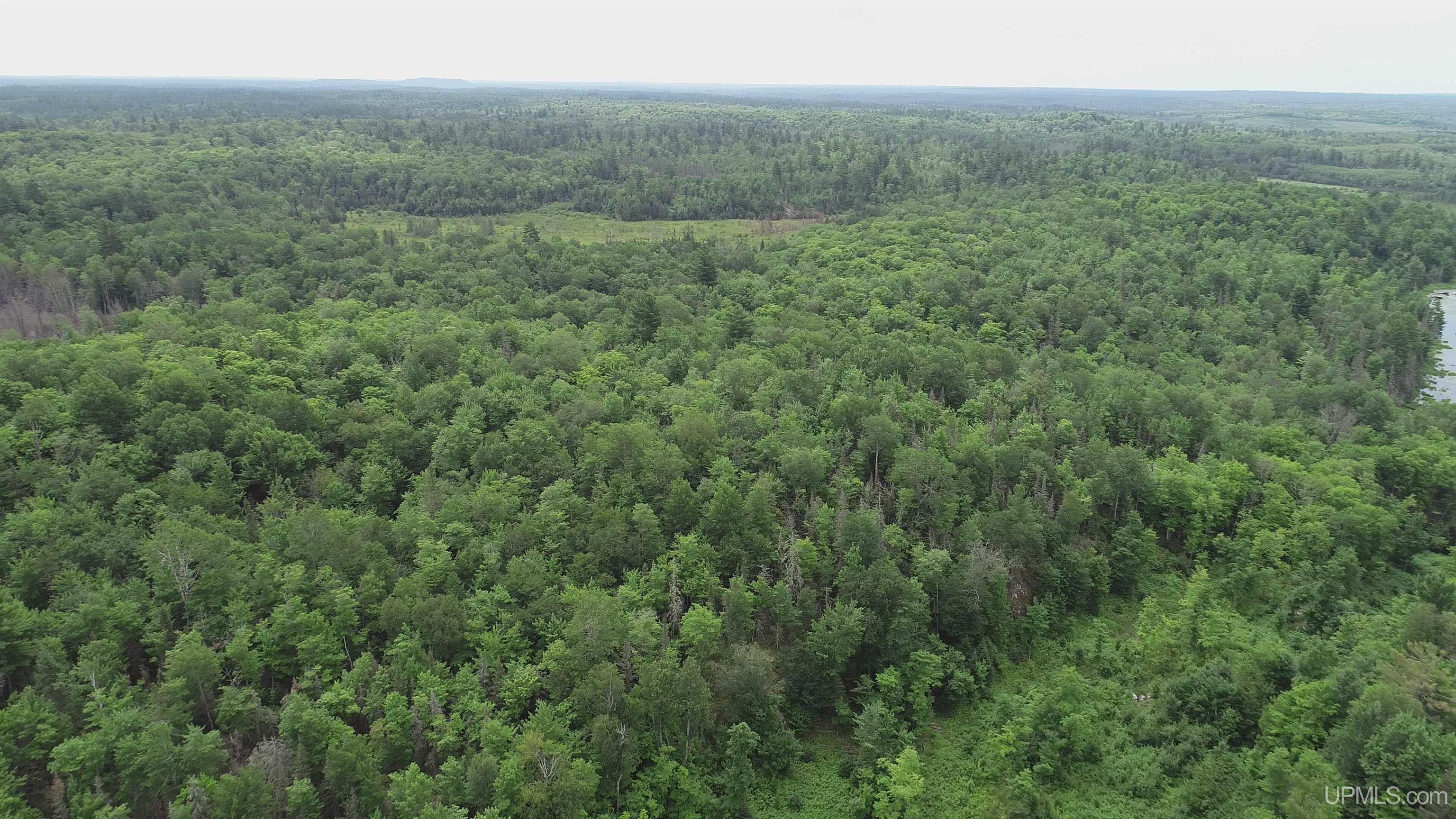 300 Acres Holli Blue Road Property Photo 27