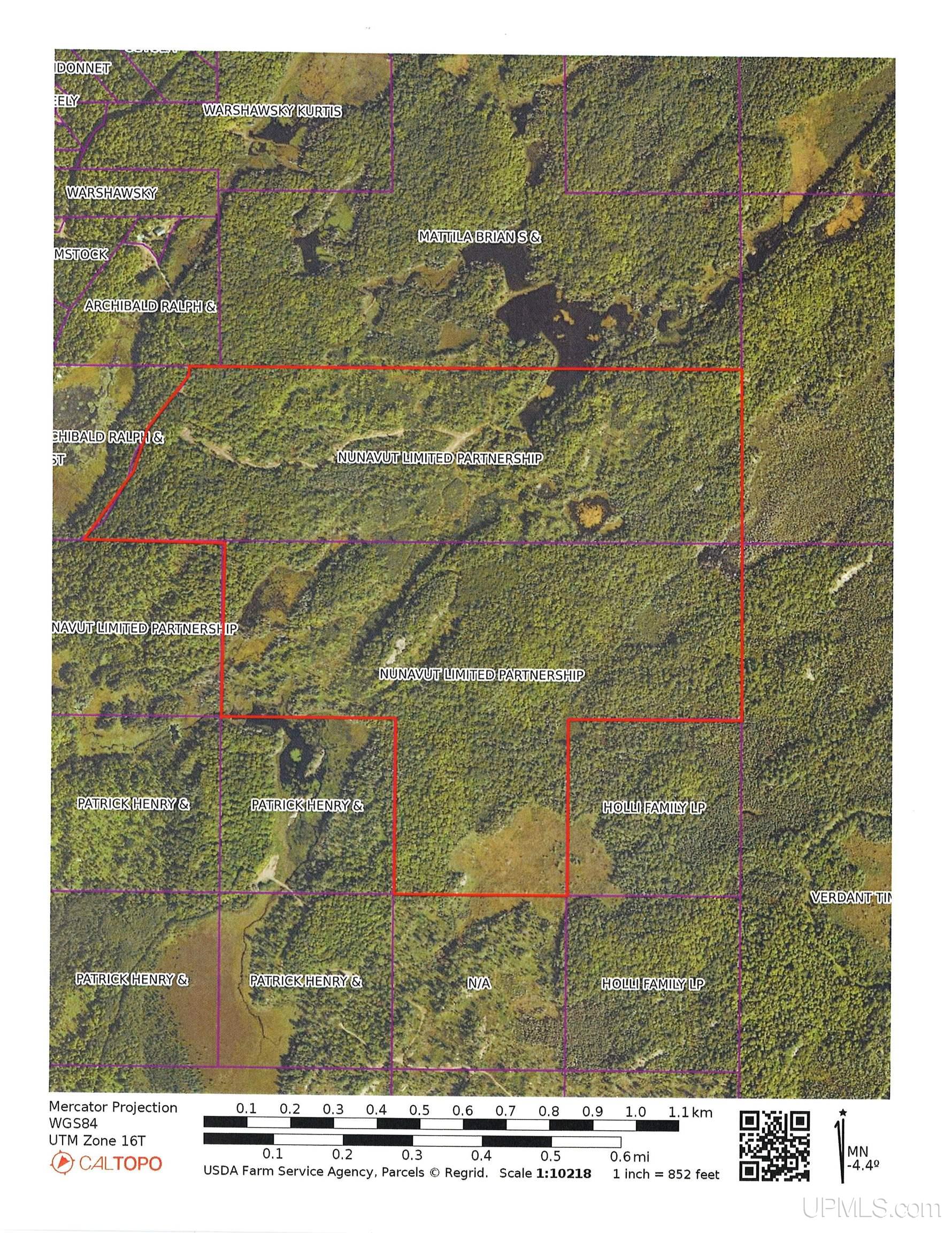 300 Acres Holli Blue Road Property Photo 30