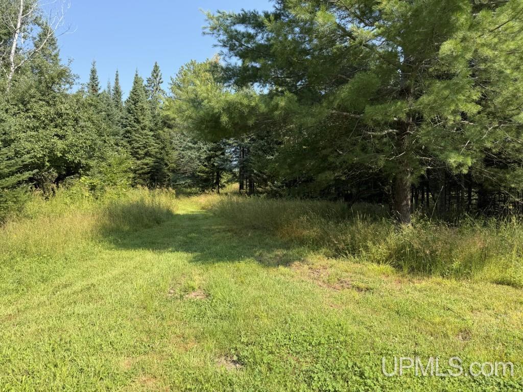 14437 Korhonen Road Property Photo 41