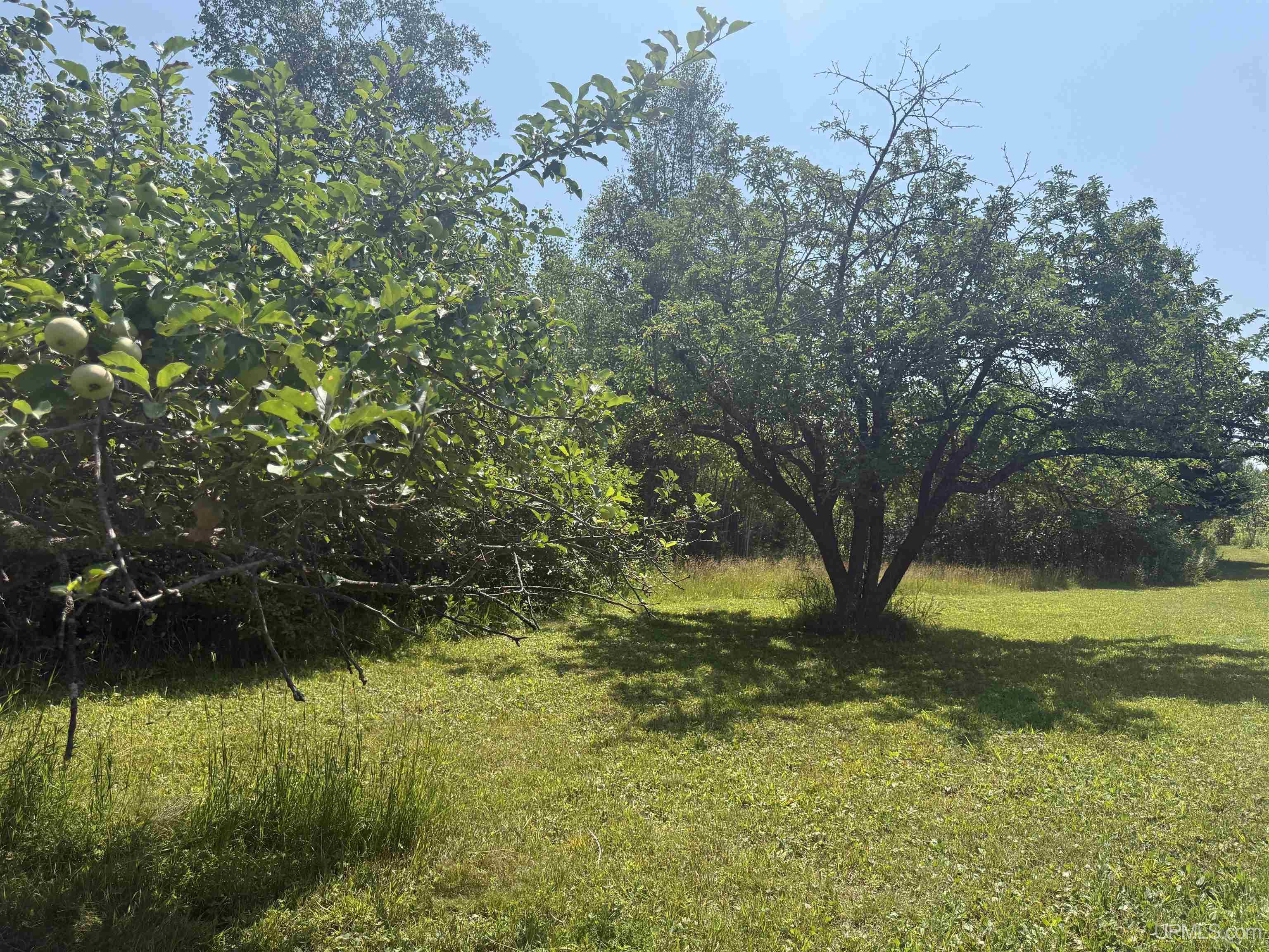 6.29 Acres Pakkala Road Property Photo 5